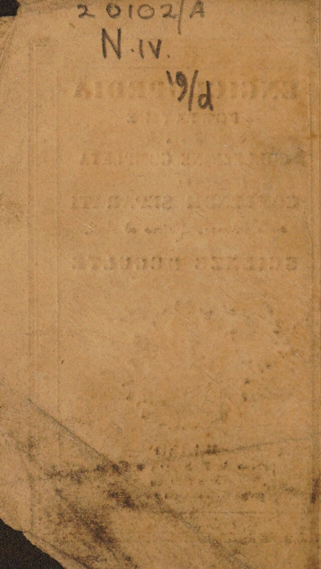 No text description is available for this image