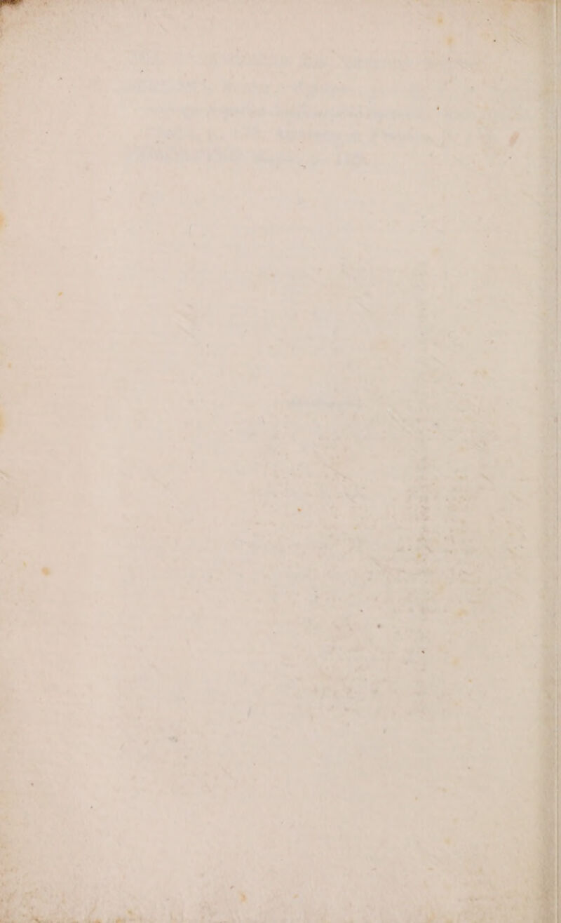 n L'E IRINA 9, PO) gx Li y D Pet ei i car dip dere RODA pigliarne e Fiaba pi NRO pe PA