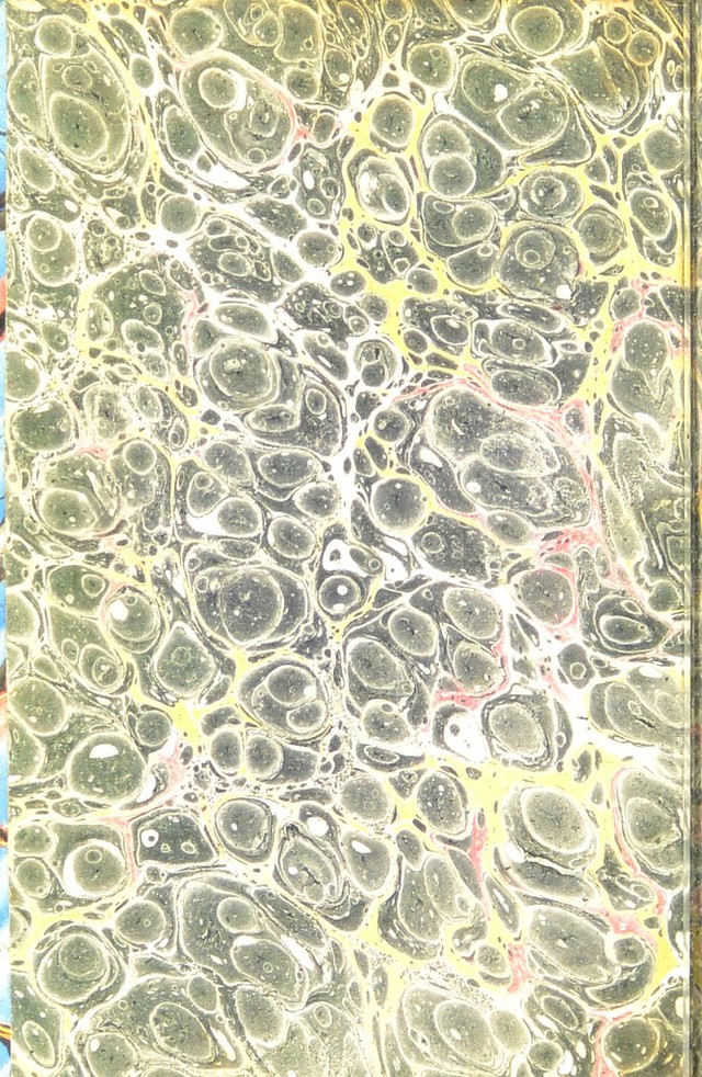 digitised image 2