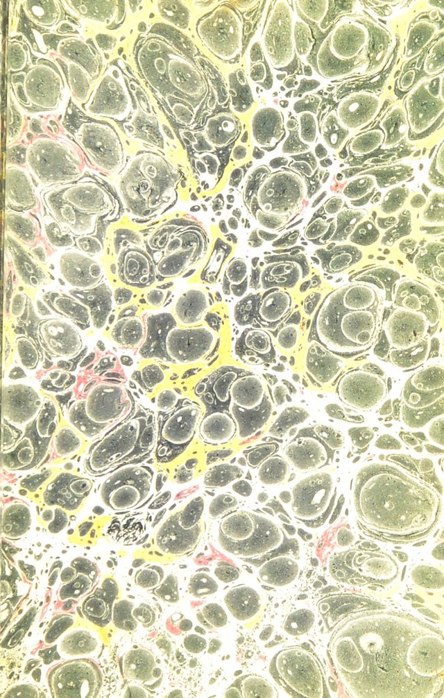 digitised image 3