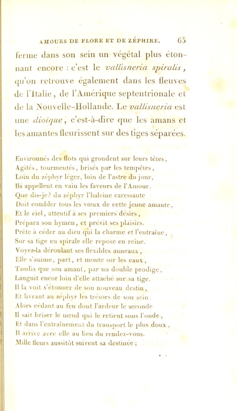 ferme dans son sein un végétal plus éton- nant encore : c’est le vallisneria spiralis, qu’on retrouve également dans les fleuves de l'Italie, de l’Amérique septentrionale et de la Nouvelle-Hollande. Le vallisneria est une clioïque, c’est-à-dire que les amans et les amantes fleurissent sur des tiges séparées. Environnés des flots qui grondent sur leurs tètes, Agités, tourmentés, brisés par les tempêtes. Loin du zéphyr léger, loin de l’astre du jour. Ils appellent en vain les faveurs de l’Amour. Que dis-je? du zéphyr l'haleine caressante Doit combler tous les vœux de cette jeune amante, Et le ciel, attentif à scs premiers désirs , Prépara sou hymen, et prévit ses plaisirs. Prête à céder au dieu qui la charme et l’entraîne, Sur sa tige eu spirale elle repose en rciuc. Voyez-la déroulant ses flexibles anneaux, Elle s’anime, part, et monte sur les eaux, Tandis que son amant, par un double prodige, Languit encor loin d'elle attaché sur sa tige. Il la voit s'étonner de sou nouveau destin. Et livrant au zéphyr les trésors de son sein Alors cédant au feu dont l'ardeur le seconde 11 sait briser le nœud qui le retient sous l’onde. Et dans l'entraînement du transport le plus doux, 11 arrive avec «die au lieu du rendez-vous. Mille fleurs aussitôt suivent sa destinée;