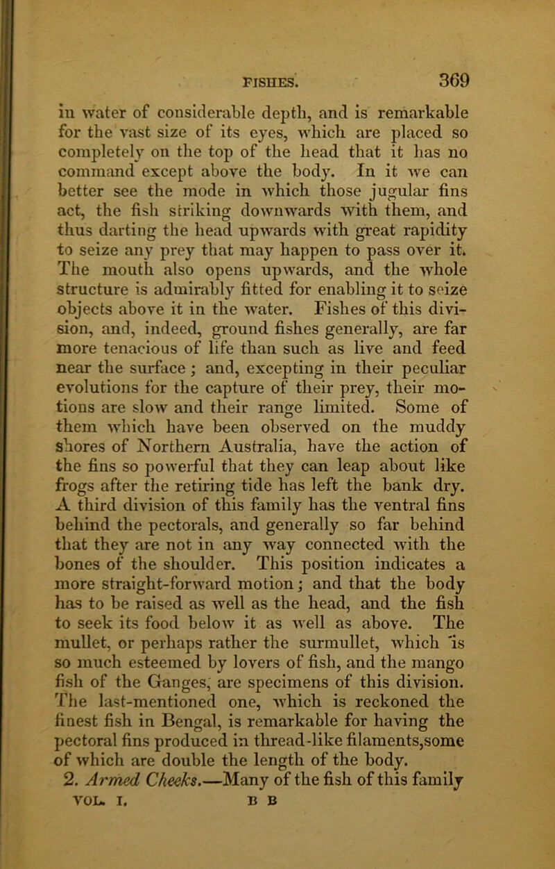 ill water of considerable depth, and is remarkable for the vast size of its eyes, which are placed so completely on the top of the head that it has no command except above the body. In it we can better see the mode in which those jugular fins act, the fish striking downwards with them, and thus darting the head upwards with great rapidity to seize any prey that may happen to pass over it. The mouth also opens upwards, and the whole structure is admirably fitted for enabling it to seize objects above it in the water. Fishes of this divi- sion, and, indeed, ground fishes generally, are far more tenacious of life than such as live and feed near the surface ; and, excepting in their peculiar evolutions for the capture of their prey, their mo- tions are slow and their range limited. Some of them which have been observed on the muddy shores of Northern Australia, have the action of the fins so powerful that they can leap about like frogs after the retiring tide has left the bank dry. A third division of this family has the ventral fins behind the pectorals, and generally so far behind that they are not in any way connected with the bones of the shoulder. This position indicates a more straight-forward motion; and that the body has to be raised as well as the head, and the fish to seek its food below it as well as above. The mullet, or perhaps rather the surmullet, which 'is so much esteemed by lovers of fish, and the mango fish of the Ganges, are specimens of this division. The last-mentioned one, Avhich is reckoned the finest fish in Bengal, is remarkable for having the pectoral fins produced in tliread-like filaments,some of which are double the length of the body. 2. Armed Cheeks.—Many of the fish of this family VOL. I. B B