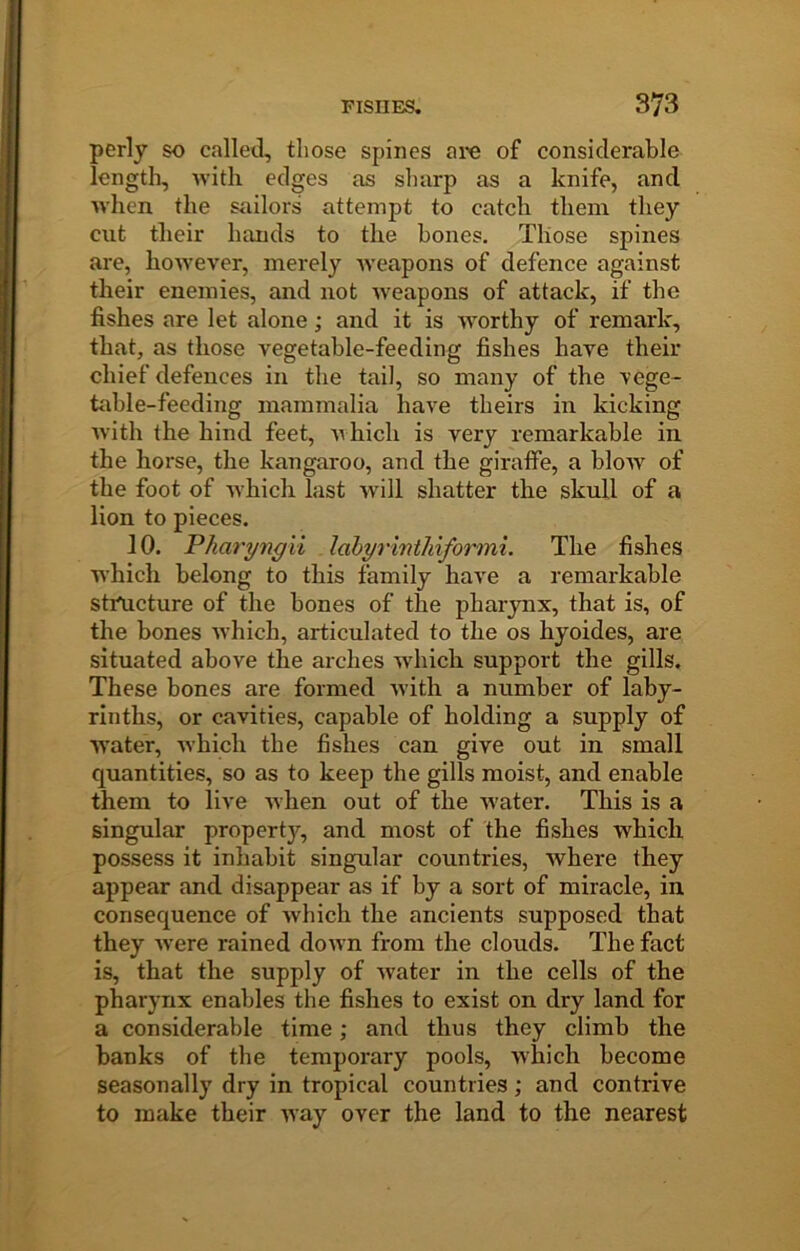 perly so calletl, those spines are of considerable length, Avith edges as sharp as a knife, and Avlien the sailors attempt to catch them they cut their hands to the bones. Those spines are, hoAA'eA'er, merely Aveapons of defence against their enemies, and not Aveapons of attack, if the fishes are let alone; and it is AA'orthy of remark, that, as those vegetable-feeding fishes have their chief defences in the tail, so many of the vege- table-feeding mammalia haA^e theirs in kicking Avith the hind feet, Avhich is very remarkable in the horse, the kangaroo, and the giraffe, a bloAV of the foot of AA’hich last will shatter the skull of a lion to pieces. 10. Pharyngii lahyrinthiformi. The fishes which belong to this family have a remarkable structure of the bones of the pharynx, that is, of the bones Avhich, articulated to the os hyoides, are situated above the arches Avhich support the gills. These bones are formed Avith a number of laby- rinths, or cavities, capable of holding a supply of AA’ater, Avhich the fishes can give out in small quantities, so as to keep the gills moist, and enable them to live Avhen out of the Avater. This is a singular property, and most of the fishes which possess it inhabit singular countries, Avhere they appear and disappear as if by a sort of miracle, in consequence of Avhich the ancients supposed that they Avere rained doAvn from the clouds. The fact is, that the supply of Avater in the cells of the pharynx enables the fishes to exist on dry land for a considerable time; and thus they climb the banks of the temporary pools, which become seasonally dry in tropical countries; and contrive to make their Avay over the land to the nearest
