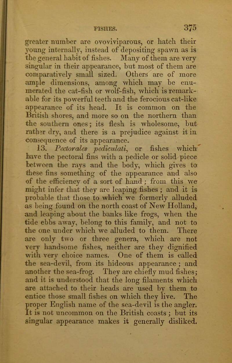 greater number are ovoviviparous, or hatch their young internally, instead of depositing spawn as is the general habit of fishes. Many of them are very singular in their appearance, but most of them are comparatively small sized. Others are of more ample dimensions, among which may be enu- merated the cat-fish or Avolf-fish, Avhich is remark- able for its powerful teeth and the ferocious cat-like appearance of its head. It is common on the British shores, and more so on the northern than the southern ones; its flesh is Avholesome, but rather dry, and there is a prejudice against it in consequence of its appearance. 13. Pectorales jiediculati^ or fishes which^ have the pectoral fins Avith a pedicle or solid piece between the rays and the body, Avhich gires to these fins something of the appearance and also of the efficiency of a sort of hand ; from this Ave might infer that they are leaping fishes ; and it is probable that those to Avbich we formerly alluded as being found on the north coast of Ncav Holland, and leaping about the banks like frogs, Avhen the tide ebbs aAvay, belong to this family, and not to the one under Avhich we alluded to them. There are only two or three genera, Avhich are not very handsome fishes, neither are they dignified AA'ith very choice names. One of them is called the sea-devil, from its hideous appearance ; and another the sea-frog. They are chiefly mud fishes; and it is understood that the long filaments Avhich are attached to their heads are used by them to entice those small fishes on Avhich they live. The proper English name of the sea-devil is the angler. It is not uncommon on the British coasts; but its singular appearance makes it generally disliked.