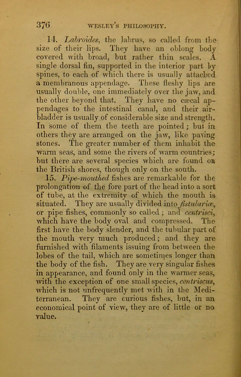 14, Lahroides, the lahrus, so called from the size of their lips. They have an oblong body covered with broad, but rather thin scales. A single dorsal fin, supported in the interior part by spines, to each of which there is usually attached a membranous appendage. These fleshy lips are usually double, one immediately over the jaw, and the other beyond that. They have no csecal ap- pendages to the intestinal canal, and their air- bladder is usually of considerable size and strength. In some of them the teeth are pointed; but in others they are arranged on the jaw, like paving stones. The greater number of them inhabit the warm seas, and some the rivers of warm countries; but there are several, species which are found on the British shores, though only on the south. 15. Pipe-mouthed fishes are remarkable for the prolongation of the fore part of the head into a sort of tube, at the extremity of which the mouth is situated. They are usually divided into Jistularu^, or pipe fishes, commonly so called ; and centrisci^ which have the body oval and compressed. The first have the body slender, and the tubular part of the mouth very much produced; and they are furnished with filaments issuing from between the lobes of the tail, which are sometirnes longer than the body of the fish. They are very singular fishes in appearance, and found only in the warmer seas, ■with the exception of one small species, cefntriscus^ which is not unfrequently met with in the Medi- terranean. They are curious fishes, but, in an economical point of view, they are of little or no value.