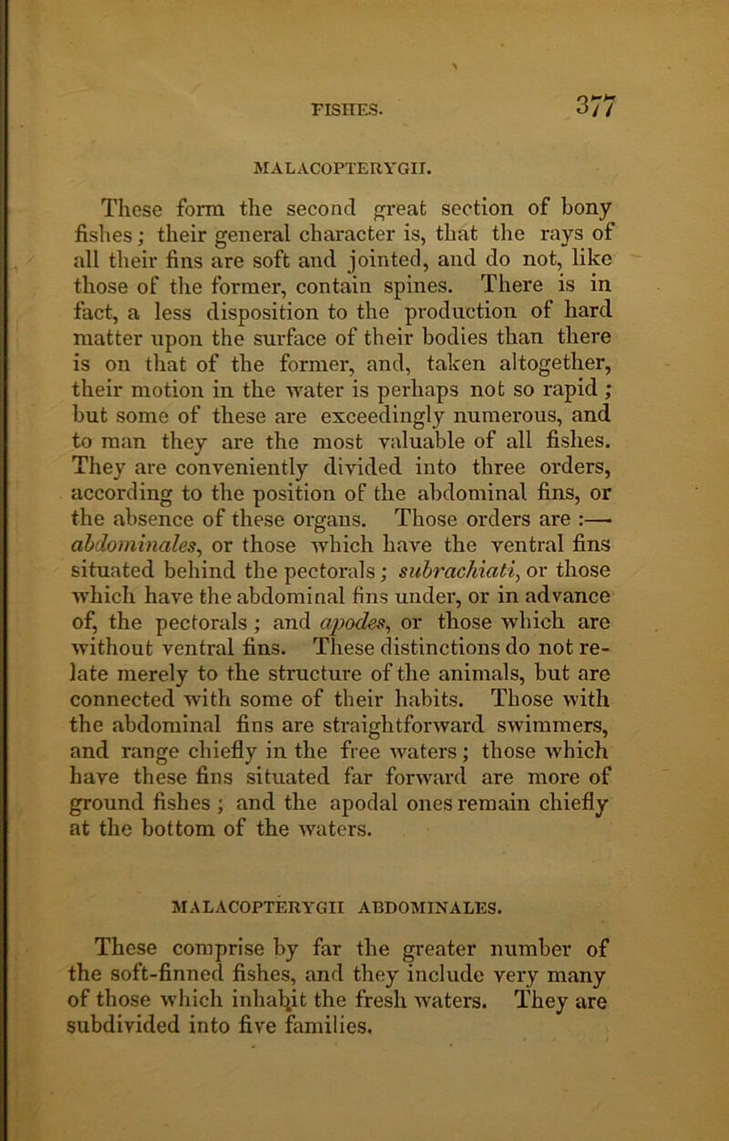 MALxVCOPTERYGII. These form the second gi*eat section of bony fislies; their general character is, that the rays of all their fins are soft and jointed, and do not, like those of the former, contain spines. There is in fact, a less disposition to the production of hard matter upon the surface of their bodies than there is on that of the former, and, taken altogether, their motion in the ■water is perhaps not so rapid ; but some of these are exceedingly numerous, and to man they are the most valuable of all fishes. They are conveniently divided into three orders, according to the position of the abdominal fins, or the absence of these organs. Those orders are abdominales, or those which have the ventral fins situated behind the pectorals; suhracMati^ or those ■which have the abdominal fins under, or in advance of, the pectorals; and apodes^ or those which are without ventral fins. These distinctions do not re- late merely to the structure of the animals, but are connected with some of their habits. Those with the abdominal fins are straightforward swimmers, and range chiefly in the free waters; those which have these fins situated far forward are more of ground fishes ; and the apodal ones remain chiefly at the bottom of the waters. MALACOPTERYGII ABDOMINALES. These comprise by far the greater number of the soft-finned fishes, and they include very many of those which inhal^it the fresh waters. They are subdivided into five families.