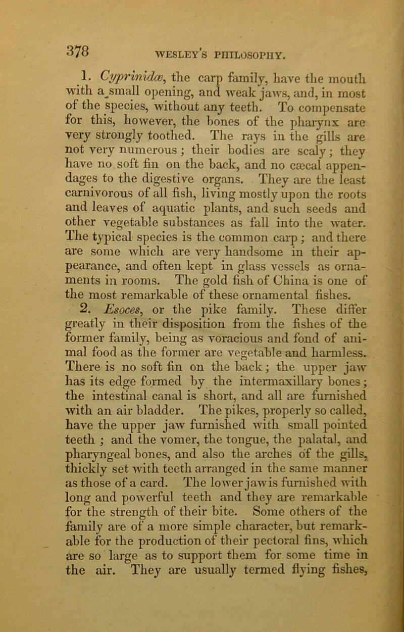 1. CyprinidcG, tlie carp family, have the mouth with a^small opening, and weak jaws, and, in most of the species, without any teeth. To compensate for this, however, the hones of the pharynx are very strongly toothed. The rays in the gills are not very numerous; their bodies are scaly; they Iiave no soft fin on the back, and no cmcal appen- dages to the digestive organs. They are the least carnivorous of all fish, living mostly upon the roots and leaves of aquatic plants, and such seeds and other vegetable substances as fall into the water. The typical species is the common caiq); and there are some which are very handsome in their ap- pearance, and often kept in glass vessels as orna- ments in rooms. The gold fish of China is one of the most remarkable of these ornamental fishes. 2. Esoces, or the pike family. These differ greatly in their disposition from the fishes of the former family, being as voracious and fond of ani- mal food as the former are vegetable and harmless. There is no soft fin on the back; the upper jaw has its edge formed by the intermaxillary bones; the intestinal canal is short, and all are furnished with an air bladder. The pikes, properly so called, have the upper jaw furnished with small pointed teeth ; and the vomer, the tongue, the palatal, and pharyngeal bones, and also the arches of the gills, thickly set Avith teeth aivanged in the same manner as those of a card. The lower jaAvis furnished with long and poAverful teeth and they are remarkable for the strength of their bite. Some others of the family are of a more simple character, but remark- able for the production of their pectoral fins, Avhich are so large as to support them for some time in the air. They are usually termed flying fishes,