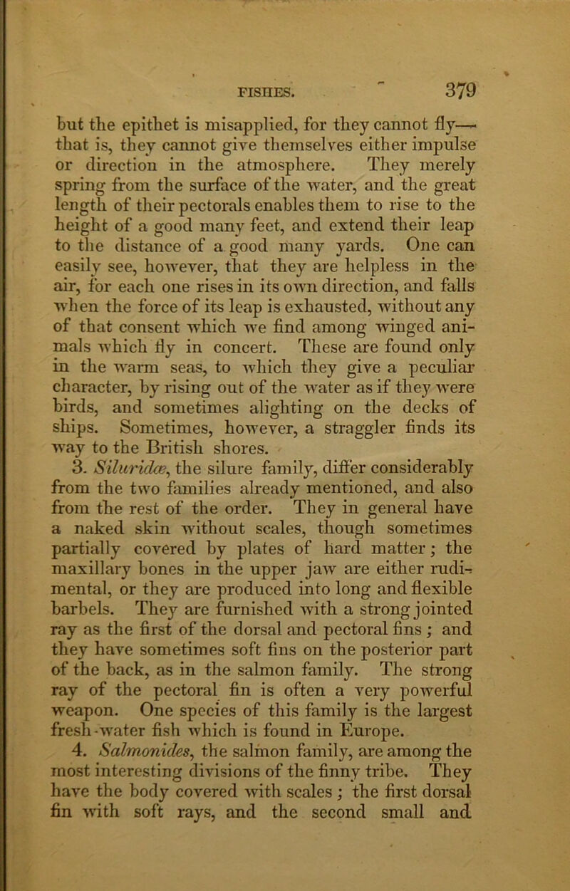 but the epithet is misapplied, for they cannot fly-— that is, they cannot give themselves either impulse or direction in the atmosphere. They merely spring from the surface of the water, and the great length of their pectorals enables them to rise to the height of a good many feet, and extend their leap to the distance of a good many yards. One can easily see, however, that they are helpless in the air, for each one rises in its own direction, and falls w’hen the force of its leap is exhausted, Avithout any of that consent which Ave find among Avinged ani- mals AA’hich fly in concert. These are found only in the AA’arm seas, to Avhich they give a peculiar character, by rising out of the Avater as if they Avere birds, and sometimes alighting on the decks of ships. Sometimes, hoAvever, a straggler finds its way to the British shores. 3. SiluridcG^ the silure family, difi’er considerably from the two families already mentioned, and also from the rest of the order. They in general have a naked skin without scales, though sometimes partially covered by plates of hard matter; the maxillary bones in the upper jaAV are either rudi-: mental, or they are produced into long and flexible barbels. They are furnished Avith a strong jointed ray as the first of the dorsal and pectoral fins ; and they have sometimes soft fins on the posterior part of the back, as in the salmon family. The strong ray of the pectoral fin is often a very poAverfid weapon. One species of this family is the largest fresh-AA'ater fish which is found in Europe. 4. Salmonides^ the salmon family, are among the most interesting divisions of the finny tribe. They haA”e the body covered Avith scales ; the first dorsal fin Avith soft rays, and the second small and