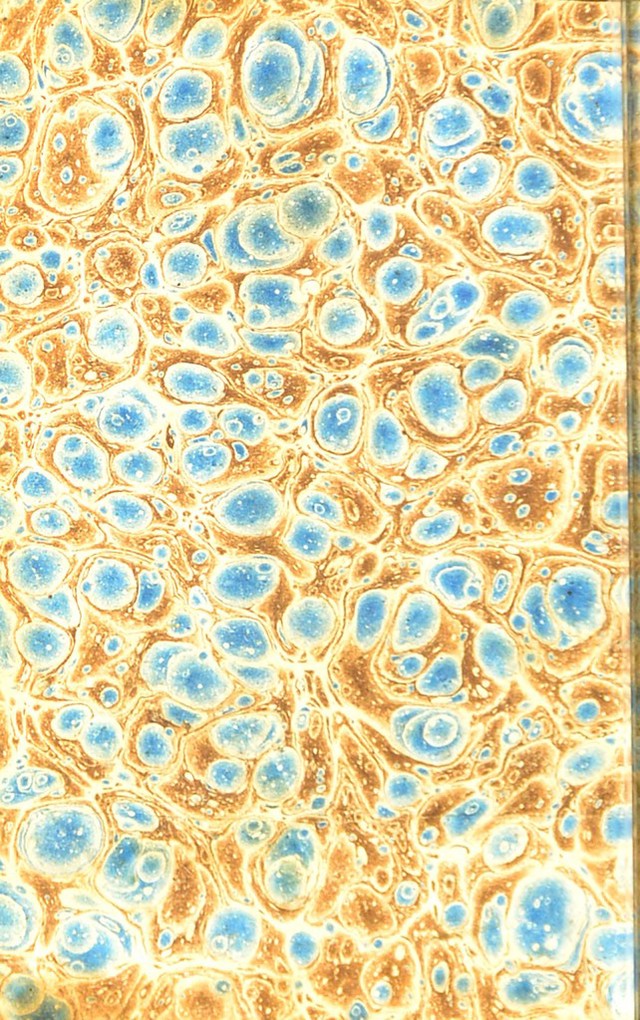 digitised image 2