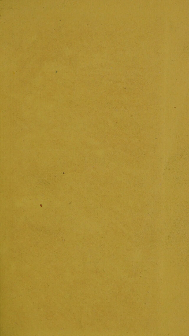 digitised image 3