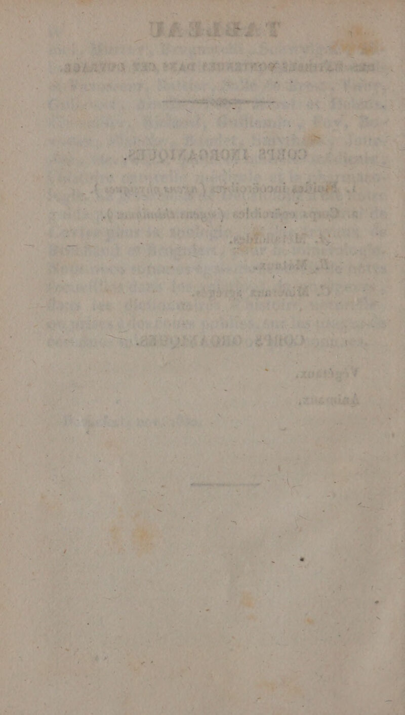 ON, MANS élite à } 5 fx 5 4 AR NS su Me” ï Fam ant et à SIN ER ge CE CA Late PRE PODD ELNEE RL NA DORE À L'OPAR INP EEE 4 PER ES ta ci tu p 4 L L dec TA1Y ‘ae AL 4 è Le à d i j