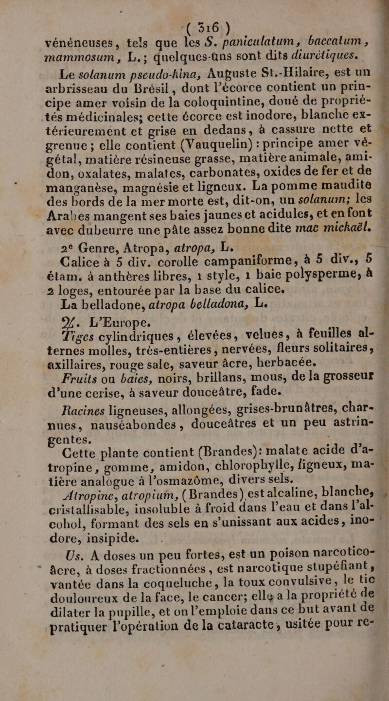 , *(23r6)) vénéneuses, tels que les S. paniculatum, baccalum , mammosum, L.; quelques-üns sont dits diurétiques. Le solanum pseudo-hina, Auguste St.-Hilaire, est un arbrisseau du Brésil, dont l'écorce contient un prin- cipe amer voisin de la coloquintine, doué de proprié- tés médicinales; cette écorce est inodore, blanche ex- térieurement et grise en dedans, à cassure nette et grenue ; elle contient {Vauquelin) : principe amer vé- étal, matière résineuse grasse, matière animale, ami- on, oxalates, malates, carbonates, oxides de fer et de manganèse, magnésie et ligneux. La pomme maudite des bords de la mer morte est, dit-on, un solanum; les Arabes mangent ses baies jaunes et acidules, et en font avec dubeurre une pâte assez bonne dite mac michaël. 2e Genre, Atropa, atropa, L. étam. à anthères libres, 1 style, 1 baie polysperme, à 2 loges, entourée par la base du calice. La belladone, atropa belladona, L. %. L'Europe. Tiges cylindriques, élevées, velues, à feuilles al- axillaires, rouge sale, saveur âcre, herbacée. Fruits où baies, noirs, brillans, mous, de la grosseur d’une cerise, à saveur douceître, fade. Racines ligneuses, allongées, grises-brunâtres, char- nues, nauséabondes, douceâtres et un peu astrin- gentes. Cette plante contient (Brandes): malate acide d’a- tropine, gomme, amidon, chlorophylle, figneux, ma- Uère analogue à l’osmazôme, divers sels. Atropine, atropium, (Brandes).est alcaline, blanche, cristallisable, insoluble à froid dans l’eau et dans l’al- cohol, formant des sels en s’unissant aux acides, in0- dore, insipide. Us. À doses un peu fortes, est un poison narcotico- âcre, à doses fractionnées , est narcotique stupéfiant, vantée dans la coqueluche, la toux convulsive, le tic douloureux de la face, le cancer; elle a la propriété de dilater la pupille, et on emploie dans ce but avant de pratiquer l'opération de la cataracte, usitée pour re- PES