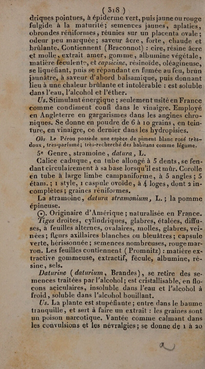 driques pointues, à épiderme vert, puis jaune ou rouge fulgide à la maturité; semences jaunes, aplaties, obrondes réniformes ; réunies sur un placenta ovale ; odeur peu marquée; saveur âcre, forte, chaude et brûlante. Gontiennent (Braconnot) : cire, résine âcre et molle extrait amer, gomme, albumine végétale, matière féculente, et capsicine, résinoïde, oléagineuse, se liquéfiant, puis se répandant en fumée au feu, brun jaunâtre, à saveur d’abord balsamique, puis donnant lieu à une chaleur brûlante et intolérable : est soluble dans l’eau, l’alcohol et l’éther. Us. Stimulant énergique ; seulement usité en France ‘comme condiment confi dans le vinaigre. Employé en Angleterre en gargarismes dans les angines chro- niques. Se donne en poudre de 6 à 10 grains, en tein- ture, en vinaigre, ce dernier dans les hydropisies. Obs. Le Pérou possede une espèce de piment blanc rosé très- doux , tres-parlumé; très-recherché des habitans comme légume, 5e Genre, stramoine , datura, L. Galice caduque, en tube allongé à 5 dents, se fen- dant circulairement à sa base lorsqu'il est mûr. Corolle en tube à large limbe campaniforme, à 5 angles ; 5 étam. ; 1 Style, 1 caspule ovoïde, à 4 loges, dont 2 in- complètes ; graines réniformes. _ La stramoine, datura stramonium, L. ; la pomme épineuse,. ©). Originaire d'Amérique ; naturalisée en France. Tiges droites, cylindriques, glabres, étalées, diffu-. ses, à feuilles altèrnes, ovalaires, molles, glabres, vei- nées; fleurs axillaires blanches ou bleuâtres ; capsule verte, hérissonnée ; semences nombreuses, rouge mar- ron. Les feuilles contiennent ( Promnitz) : matière ex- tractive gommeuse, extractif, fécule, albumine, ré- sine, sels. Daturine (daturium, Brandes), se retire des se- mences traitées par l’alcohol; est cristallisable, en flo- cons aciculaires, insoluble dans l’eau et lalcohol à froid , soluble dans l’alcohol bouillant. Us. La plante est stupéfante ; entre dans le baume trauquille, et sert à faire un extrait : les graines sont un poison narcotique. Vantée comme calmant dans les convulsions et les névralgies ; se donne de à à 20