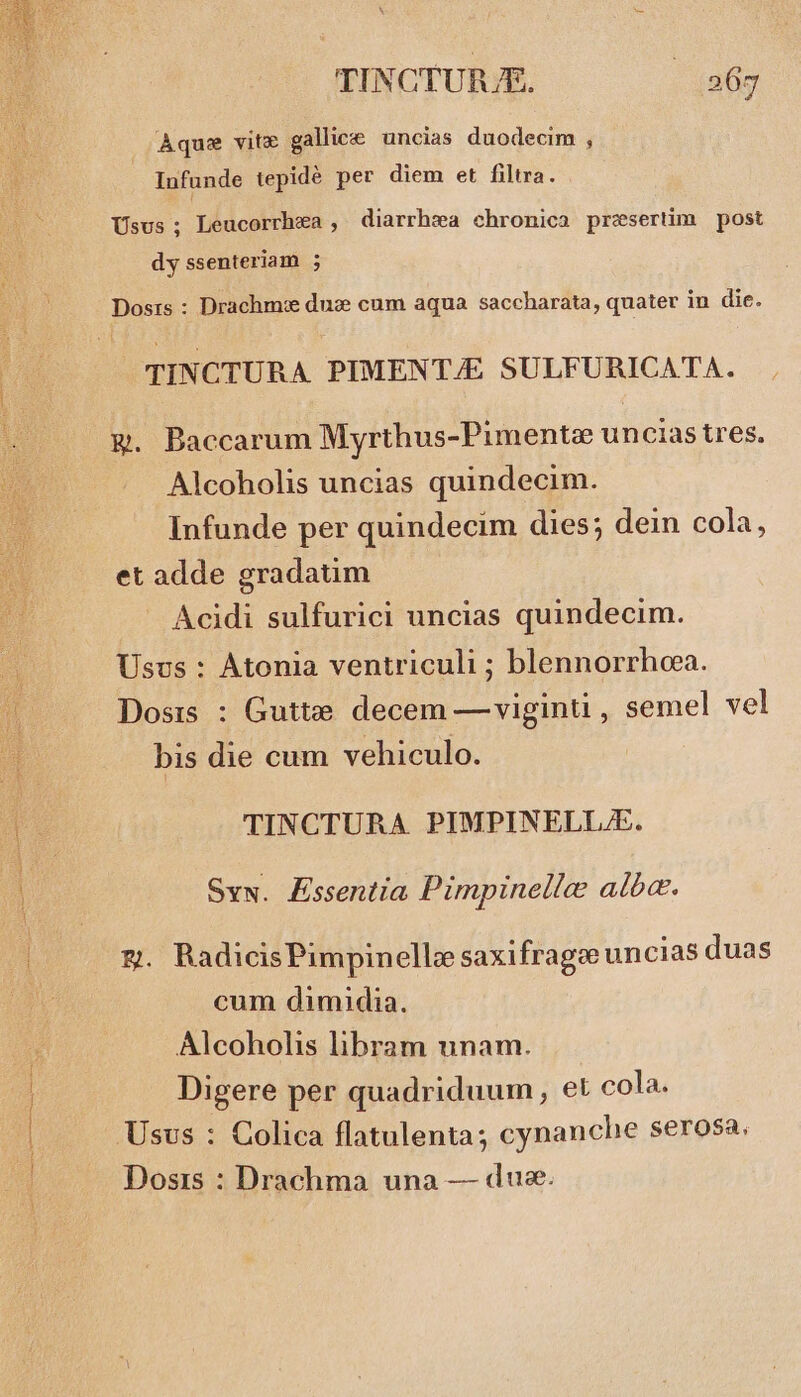 Aquz vite gallice uncias duodecim , Infunde tepidé per diem et filtra. Usus; Leucorrhza , diarrhea chronica presertim post dy ssenteriam ; Dosis : Drachmie du: cum aqua saccharata, quater in die. TINCTURA PIMENTJE SULFURICATA. E&amp;g. Baccarum Myrthus-Pimente uncias tres, Alcoholis uncias quindecim. Infunde per quindecim dies; dein cola, et adde gradatim Acidi sulfurici uncias quindecim. Usus : Atonia ventriculi ; blennorrhoa. Dosis : Guttzee decem — viginti , semel vel bis die cum vehiculo. TINCTURA PIMPINELL/E. Svw. Essentia Pimpinelle albe. g. RadicisPimpinellz saxifragee uncias duas cum dimidia. Alcoholis libram unam. Digere per quadriduum, et cola. Usvs : Colica flatulenta; cynanche serosa. Dosis : Drachma una — due.