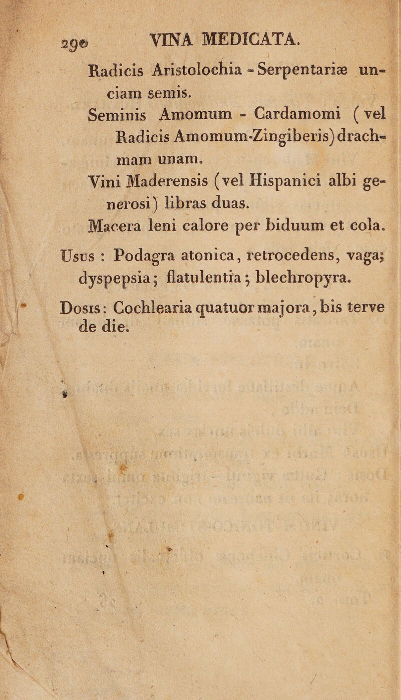 296 J NINA MEDICATA. | Radicis Aristolochia - Serpentarie un- ciam semis.  Seminis Amomum - Cardamomi ( vel Radicis Amomum- Zingiberis) drach- | | mam unam. Vini Maderensis ( vel Hispanici albi ge- nerosi) libras duas. Macera leni calore per biduum et cola. dyspepsia; flatulentia ; blechropyra. Dosis: Cochlearia quatuor majora , bis terve