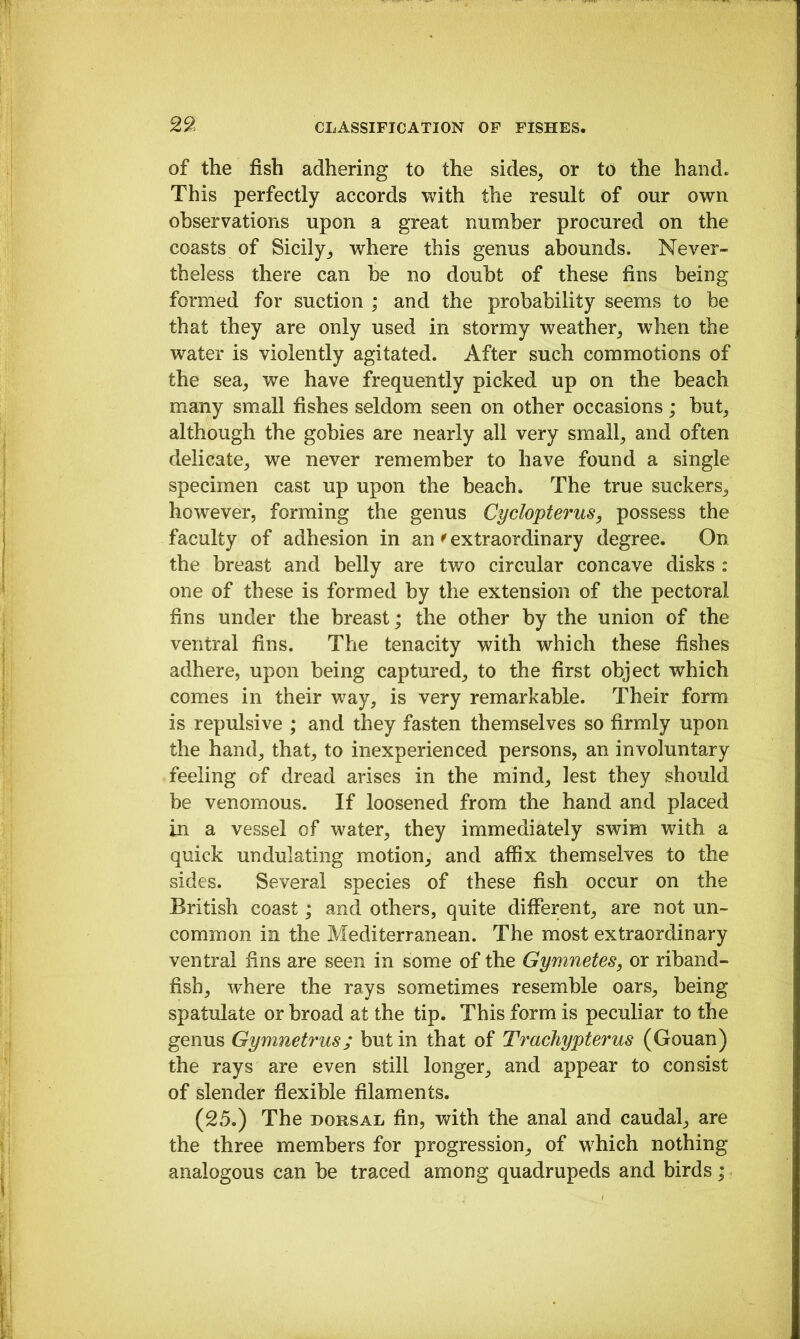 of the fish adhering to the sides, or to the hand. This perfectly accords with the result of our own observations upon a great number procured on the coasts of Sicily, where this genus abounds. Never- theless there can he no doubt of these fins being formed for suction ; and the probability seems to be that they are only used in stormy weather, when the water is violently agitated. After such commotions of the sea, we have frequently picked up on the beach many small fishes seldom seen on other occasions; but, although the gobies are nearly all very small, and often delicate, we never remember to have found a single specimen cast up upon the beach. The true suckers, however, forming the genus Cyclopterus, possess the faculty of adhesion in an ^extraordinary degree. On the breast and belly are two circular concave disks : one of these is formed by the extension of the pectoral fins under the breast; the other by the union of the ventral fins. The tenacity with which these fishes adhere, upon being captured, to the first object which comes in their way, is very remarkable. Their form is repulsive ; and they fasten themselves so firmly upon the hand, that, to inexperienced persons, an involuntary feeling of dread arises in the mind, lest they should be venomous. If loosened from the hand and placed in a vessel of water, they immediately swim with a quick undulating motion, and affix themselves to the sides. Several species of these fish occur on the British coast; and others, quite different, are not un- common in the Mediterranean. The most extraordinary ventral fins are seen in some of the Gymnetes, or riband- fish, w'here the rays sometimes resemble oars, being spatulate or broad at the tip. This form is peculiar to the genus Gymnetrus; but in that of Trachypterus (Gouan) the rays are even still longer, and appear to consist of slender flexible filaments. (25.) The DORSAL fin, with the anal and caudal, are the three members for progression, of wffiich nothing analogous can be traced among quadrupeds and birds;