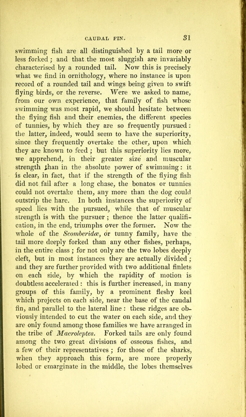 swimming fish are all distinguished by a tail more or less forked j and that the most sluggish are invariably characterised by a rounded tail. Now this is precisely what we find in ornithology^ where no instance is upon record of a rounded tail and wings being given to swift flying birds^ or the reverse. Were we asked to name^ from our own experience^ that family of fish whose swimming was most rapid^ we should hesitate between the flying fish and their enemies, the different species of tunnies^ by which they are so frequently pursued: the latter^ indeed_, would seem to have the superiority, since they frequently overtake the other_, upon which they are known to feed; but this superiority lies more, we apprehend, in their greater size and muscular strength than in the absolute power of swimming: it is clear, in fact, that if the strength of the flying fish did not fail after a long chase, the bonatos or tunnies could not overtake them, any more than the dog could outstrip the hare. In both instances the superiority of speed lies with the pursued, while that of muscular strength is with the pursuer ; thence the latter qualifi- cation, in the end, triumphs over the former. Now the whole of the Scomberidfs, or tunny family, have the tail more deeply forked than any other fishes, perhaps, in the entire class ; for not only are the two lobes deeply cleft, but in most instances they are actually divided ; and they are further provided wdth two additional finlets on each side, by which the rapidity of motion is doubtless accelerated : this is further increased, in many groups of this family, by a prominent fleshy keel which projects on each side, near the base of the caudal fin, and parallel to the lateral line : these ridges are ob- viously intended to cut the water on each side, and they are only found among those families we have arranged in the tribe of Macroleptes. Forked tails are only found among the two great divisions of osseous fishes, and a few of their representatives ; for those of the sharks, when they approach this form, are more properly lobed or emarginate in the middle, the lobes themselves