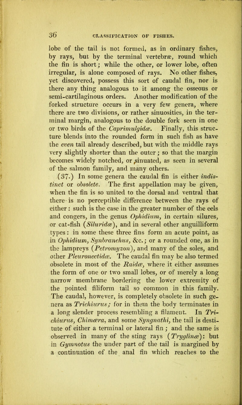 lobe of the tail is not formed, as in ordinary fishes, by rays, but by the terminal vertebrae, round which the fin is short; while the other, or lower lobe, often irregular, is alone composed of rays. No other fishes, yet discovered, possess this sort of caudal fin, nor is there any thing analogous to it among the osseous or semi-cartilaginous orders. Another modification of the forked structure occurs in a very few genera, where there are two divisions, or rather sinuosities, in the ter- minal margin, analogous to the double fork seen in one or two birds of the Caprimulgidce, Finally, this struc- ture blends into the rounded form in such fish as have the even tail already described, but with the middle rays very slightly shorter than the outer; so that the margin becomes widely notched, or pinnated, as seen in several of the salmon family, and many others. (37*) In some genera the caudal fin is either indis- tinct or obsolete. The first appellation may be given, when the fin is so united to the dorsal and ventral that there* is no perceptible difference between the rays of either: such is the case in the greater number of the eels and congers, in the genus Ophidium, in certain silures, or cat-fish (^Siluridce)^ and in several other anguilliform types: in some these three fins form an acute point, as in Ophidium, Synhranchus, &c.; or a rounded one, as in the lampreys {Petromyzon), and many of the soles, and other Pleuronectidce, The caudal fin may be also termed obsolete in most of the Raidce, where it either assumes the form of one or two small lobes, or of merely a long narrow membrane bordering the lower extremity of the pointed filiform tail so common in this family. The caudal, however, is completely obsolete in such ge- nera as Trichiurus; for in them the body terminates in a long slender process resembling a filament. In Tri- chiurus, Chimcera. and some Syngnathi, the tail is desti- tute of either a terminal or lateral fin ; and the same is observed in many of the sting rays {Tryglinoe)', but in Gymnotus the under part of the tail is margined by a continuation of the anal fin which reaches to the