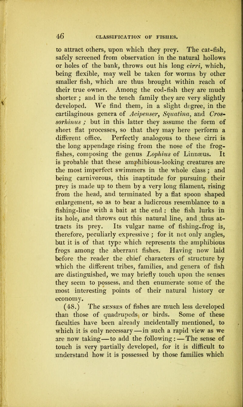 to attract others^ upon which they prey. The cat-fish^ safely screened from observation in the natural hollows or holes of the bank^ throws out his long cirri^ which, being flexible, may well be taken for worms by other smaller fish, which are thus brought within reach of their true owner. Among the cod-fish they are much shorter ; and in the tench family they are very slightly developed. We find them, in a slight degree, in the cartilaginous genera of Acipenser, Squatina, and Cros- sorhinus ; but in this latter they assume the form of short flat processes, so that they may here perform a different office. Perfectly analogous to these cirri is the long appendage rising from the nose of the frog- fishes, composing the genus Lophius of Linn?eus. It is probable that these amphibious-looking creatures are the most imperfect swimmers in the whole class; and being carnivorous, this inaptitude for pursuing their prey is made up to them by a very long filament, rising from the head, and terminated by a flat spoon shaped enlargement, so as to bear a ludicrous resemblance to a fishing-line with a bait at the end: the fish lurks in its hole, and throws out this natural line, and thus at- tracts its prey. Its vulgar name of fishing-frog is, therefore, peculiarly expressive ; for it not only angles, but it is of that type which represents the amphibious frogs among the aberrant fishes. Having now laid before the reader the chief characters of structure by which the different tribes, families, and genera of fish are distinguished, we may briefly touch upon the senses they seem to possess, and then enumerate some of the most interesting points of their natural history or economy. (48.) The SENSES of fishes are much less developed than those of quadrupeds, or birds. Some of these faculties have been already incidentally mentioned, to which it is only necessary—in such a rapid view as we are now taking—to add the following:—The sense of touch is very partially developed, for it is difficult to understand how it is possessed by those families which