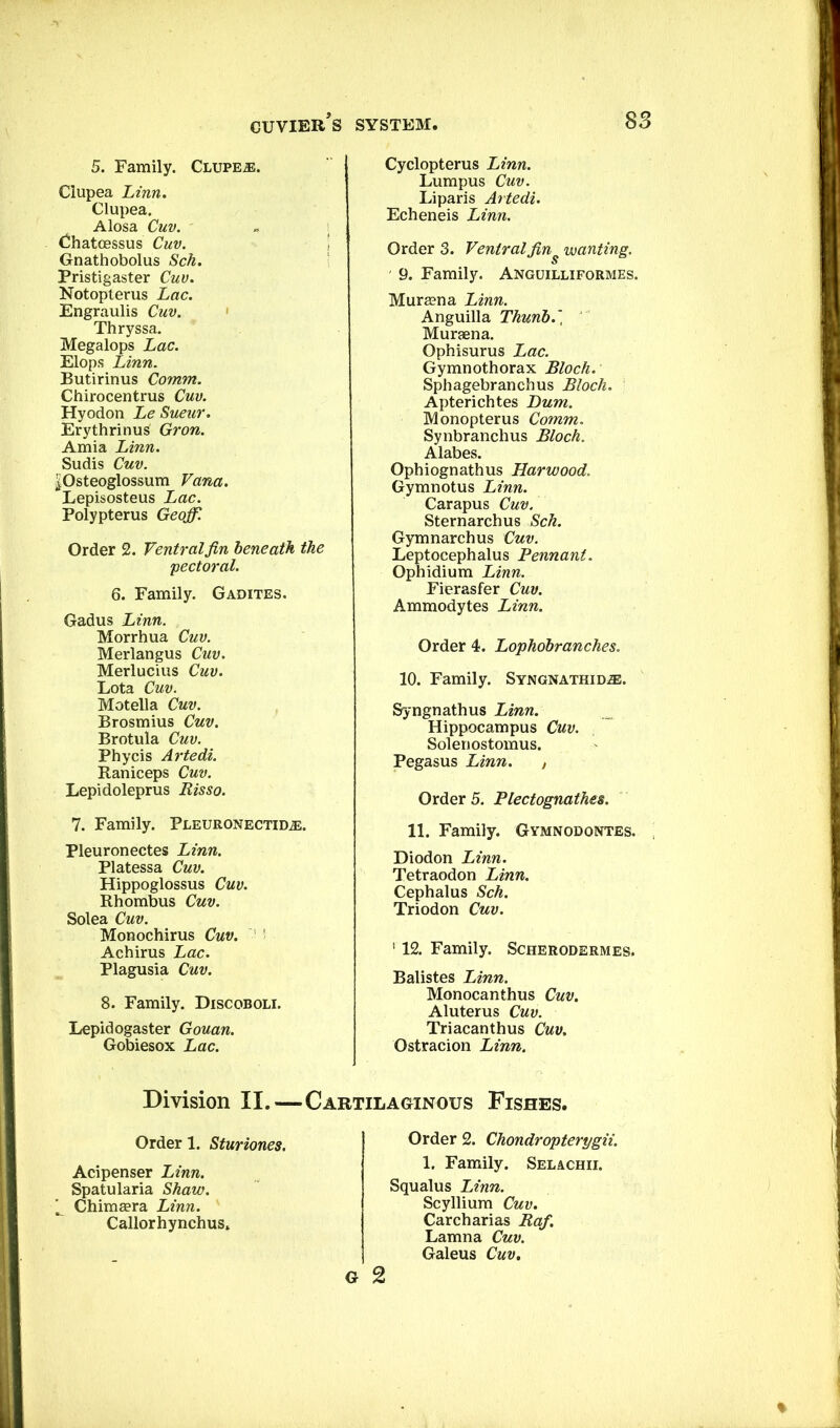 5. Family. Clupe^e. Ciupea Linn. Clupea. Alosa Cuv. dhatoessus Cuv. Gnathobolus Sch. Pristigaster Cuv. Notoplerus Lac. Engraulis Cuv. ' Thryssa. Megalops Lac. Elops Linn. Butirinus Comm. Chirocentrus Cuv. Hyodon Le Sueur. Erythrinus Gron. Amia Linn. Sudis Cuv. |Osteoglossum Vana. Lepisosteus Lac. Polypterus Geoff. Order 2. Ventral fin beneath the 'pectoral. 6. Family. Gadites. Gadus Linn. Morrhua Cuv. Merlangus Ctw. Merlucius Cuv. Lota Cuv. Motella Cuv. Brosmius Cuv. Brotula Cuv. Phycis Artedi. Raniceps Cuv. Lepidoleprus Risso. 7. Family. Pleuronectid^. Pleuronectes Linn. Platessa Cuv. Hippoglossus Cuv. Rhombus Cuv. Solea Cuv. Monochirus Cuv. Achirus Lac. Plagusia Cuv. 8. Family. Discoboli. Lepidogaster Gouan. Gobiesox Lac. Division II.— Order 1. Sturiones. Acipenser Linn. Spatularia Shaw. ^ Chimeera Linn. Callorhynchus. Cyclopterus Linn. Lumpus Cuv. Liparis Artedi. Echeneis Linn. Order 3. Ventralfin^ wanting. 9. Family. Anguilliformes. Mura?na Linn. Anguilla Thunb.', Muraena. Ophisurus Lac. Gymnothorax Bloch. Sphagebranchus Bloch. Apterichtes Bum. Monopterus Comm. Synbranchus Bloch. Alabes. Ophiognathus Harwood. Gymnotus Linn. Carapus Cuv. Sternarchus Sch. Gymnarchus Cuv. Leptocephalus Pennant. Ophidium Linn. Fierasfer Cuv. Ammodytes Linn. Order 4. Lophobranches. 10. Family. Syngnathid^®. Syngnathus Linn. Hippocampus Cuv. Solenostomus. Pegasus Linn. , Order 5. Plectognathes. 11. Family. Gymnodontes. Diodon Linn. Tetraodon Linn. Cephalus Sch. Triodon Cuv. ' 12. Family. Scherodermes. Balistes Linn. Monocanthus Cuv. Aluterus Cuv. Triacanthus Cuv. Ostracion Linn. Cartilaginous Fishes. Order 2. Chondropterygii. 1. Family. Selachii. Squalus Linn. Scyllium Cuv. Carcharias Raf. Lamna Cuv. Galeus Cuv.