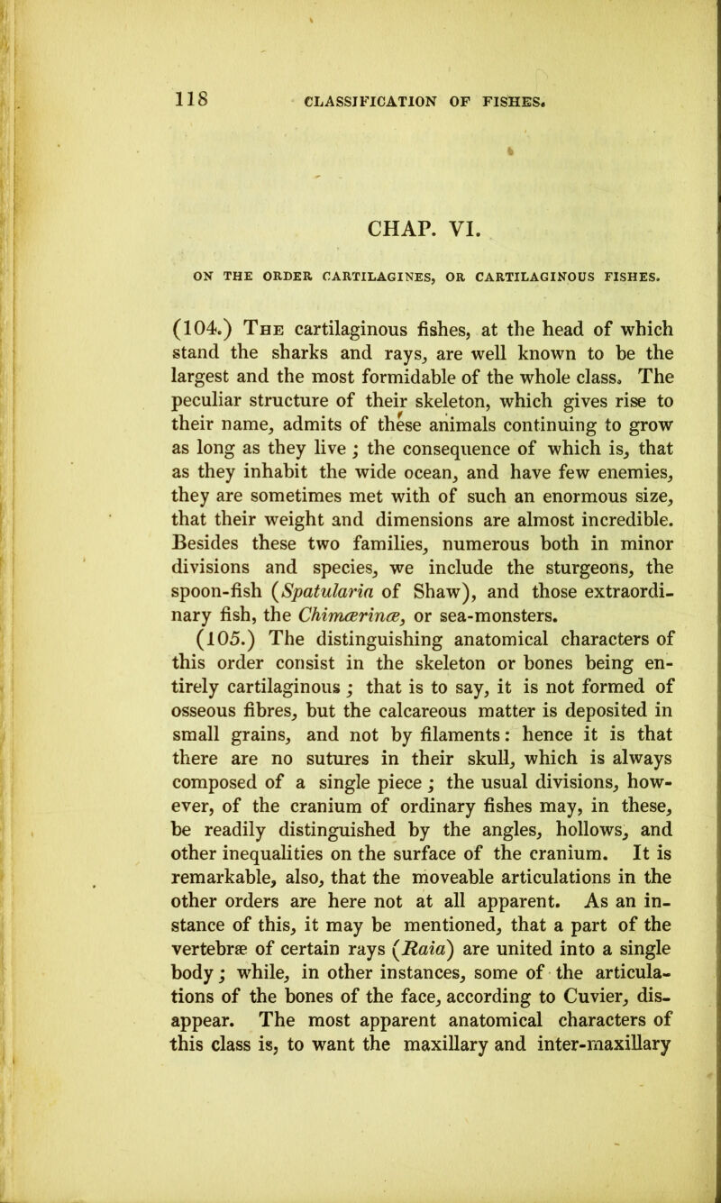 % CHAP. VI. ON THE ORDER CARTILAGINES, OR CARTILAGINOUS FISHES. (104.) The cartilaginous fishes, at the head of which stand the sharks and rays, are well known to he the largest and the most formidable of the whole class. The peculiar structure of their skeleton, which gives rise to their name, admits of these animals continuing to grow as long as they live; the consequence of which is, that as they inhabit the wide ocean, and have few enemies, they are sometimes met with of such an enormous size, that their weight and dimensions are almost incredible. Besides these two families, numerous both in minor divisions and species, we include the sturgeons, the spoon-fish {Spatularia of Shaw), and those extraordi- nary fish, the ChimcBrince, or sea-monsters. (105.) The distinguishing anatomical characters of this order consist in the skeleton or bones being en- tirely cartilaginous ; that is to say, it is not formed of osseous fibres, but the calcareous matter is deposited in small grains, and not by filaments: hence it is that there are no sutures in their skull, which is always composed of a single piece; the usual divisions, how- ever, of the cranium of ordinary fishes may, in these, be readily distinguished by the angles, hollows, and other inequalities on the surface of the cranium. It is remarkable, also, that the moveable articulations in the other orders are here not at all apparent. As an in- stance of this, it may be mentioned, that a part of the vertebrae of certain rays (^Raia) are united into a single body j while, in other instances, some of the articula- tions of the bones of the face, according to Cuvier, dis- appear. The most apparent anatomical characters of this class is, to want the maxillary and inter-maxillary