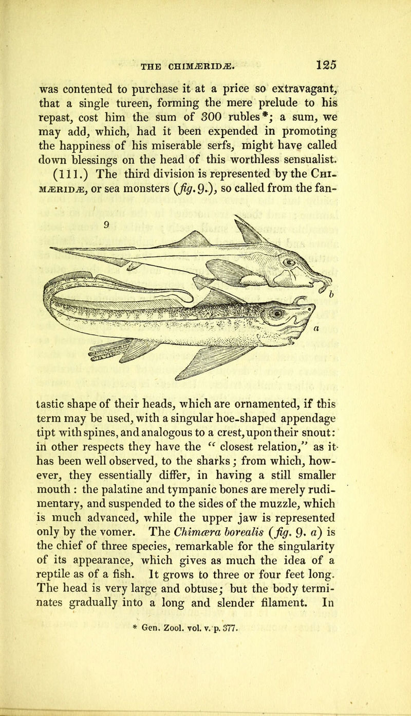 was contented to purchase it at a price so extravagant^ that a single tureen, forming the mere prelude to his repast, cost him the sum of 300 rubles*; a sum, we may add, which, had it been expended in promoting the happiness of his miserable serfs, might have called down blessings on the head of this worthless sensualist. (111.) The third division is represented by the Chi- MiERiDiB, or sea monsters (Jig, 9.)^ called from the fan- tastic shape of their heads, which are ornamented, if this term may be used, with a singular hoe-shaped appendage tipt with spines, and analogous to a crest, upon their snout: in other respects they have the closest relation,'' as it- has been well observed, to the sharks; from which, how- ever, they essentially differ, in having a still smaller mouth : the palatine and tympanic bones are merely rudi- mentary, and suspended to the sides of the muzzle, which is much advanced, while the upper jaw is represented only by the vomer. The ChimcEra borealis (^fig, 9* «) is the chief of three species, remarkable for the singularity of its appearance, which gives as much the idea of a reptile as of a fish. It grows to three or four feet long. The head is very large and obtuse; but the body termi- nates gradually into a long and slender filament. In * Gen. Zool. vol. v. p. 377.