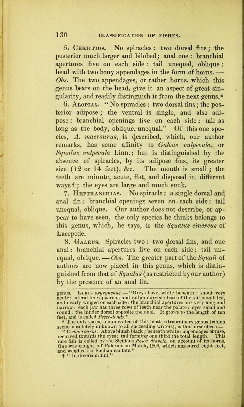 5. Cerictius. No spiracles: two dorsal fins; the posterior much larger and bilobed; anal one : branchial apertures five on each side: tail unequal, oblique: head with two bony appendages in the form of horns. — Obs, The two appendages, or rather horns, which this genus bears on the head, give it an aspect of great sin- gularity, and readily distinguish it from the next genus. 6. Alopias. ^^No spiracles : two dorsal fins; the pos- terior adipose; the ventral is single, and also adi- pose : branchial openings five on each side: tail as long as the body, oblique, unequal.” Of this one spe- cies, A, macrourus, is (Jescribed, which, our author remarks, has some affinity to Galeus vulpecula, or Squalus vulpecula Linn.; but is distinguished by the absence of spiracles, by its adipose fins, its greater size (12 or 14 feet), &c. The mouth is small; the teeth are minute, acute, fiat, and disposed in different wayst; the eyes are large and much sunk. 7. Heptranchias. No spiracle: a single dorsal and anal fin : branchial openings seven on each side: tail unequal, oblique. Our author does not describe, or ap- pear to have seen, the only species he thinks belongs to this genus, which, he says, is the Squalus cinereus of Lacepede. 8. Galeus. Spiracles two: two dorsal fins, and one anal: branchial apertures five on each side: tail un- equal, oblique. — Ohs, The greater part of the Squall of authors are now placed in this genus, which is distin- guished from that of Squalus restricted by our author) by the presence of an anal fin. genus. IsuRUs oxyrynchus. — “Grey above, white beneath : snout very acute: lateral line apparent, and rather curved : base of the tail angulated, and nearly winged on each side : the branchial apertures are very long and narrow : each jaw has three rows of teeth near the palate : eyes small and round : the hinder dorsal opposite the anal. It grows to the length of ten feet, and is called Fesce-tondoy * The only species enumerated of this most extraordinary genus (which seems absolutely unknown to all succeeding writers), is thus described: — “ C. macrourus. Above bluish black ; beneath white: appendages obtuse, recurved towards the eyes; tail forming one third the total length. This rare fish is called by the Sicilians Pesce diavolot on account of its horns. One was caught off Palermo in March, 1806, which measured eight feet, and weighed six Sicilian cantars.” t “ In diversi ordini.”