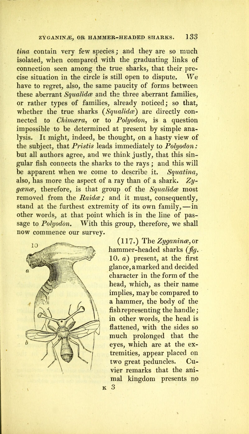 Una contain very few species; and they are so nmch isolated^ when compared with the graduating links of connection seen among the true sharks^ that their pre- cise situation in the circle is still open to dispute. We have to regret^ also^ the same paucity of forms between these aberrant Squalidce and the three aberrant families_, or rather types of families_, already noticed; so that^ whether the true sharks (^Squalidce) are directly con- nected to ChimcBra, or to Folyodon, is a question impossible to be determined at present by simple ana- lysis. It mighty indeed, be thought, on a hasty view of the subject, that Pristis leads immediately to Polyodon: but all authors agree, and we think justly, that this sin- gular fish connects the sharks to the rays; and this will be apparent when we come to describe it. Squatina, also, has more the aspect of a ray than of a shark. Zy~ gcencBy therefore, is that group of the Squalidce most removed from the Raidce; and it must, consequently, stand at the furthest extremity of its own family,—in other words, at that point which is in the line of pas- sage to Polyodon. With this group, therefore, we shall now commence our survey. (117.) The Zyganince, or hammer-headed sharks {fig. 10. a) present, at the first glance, a marked and decided character in the form of the head, which, as their name implies, maybe compared to a hammer, the body of the fish representing the handle; in other words, the head is flattened, with the sides so much prolonged that the eyes, which are at the ex- tremities, appear placed on two great peduncles. Cu- vier remarks that the ani- mal kingdom presents no