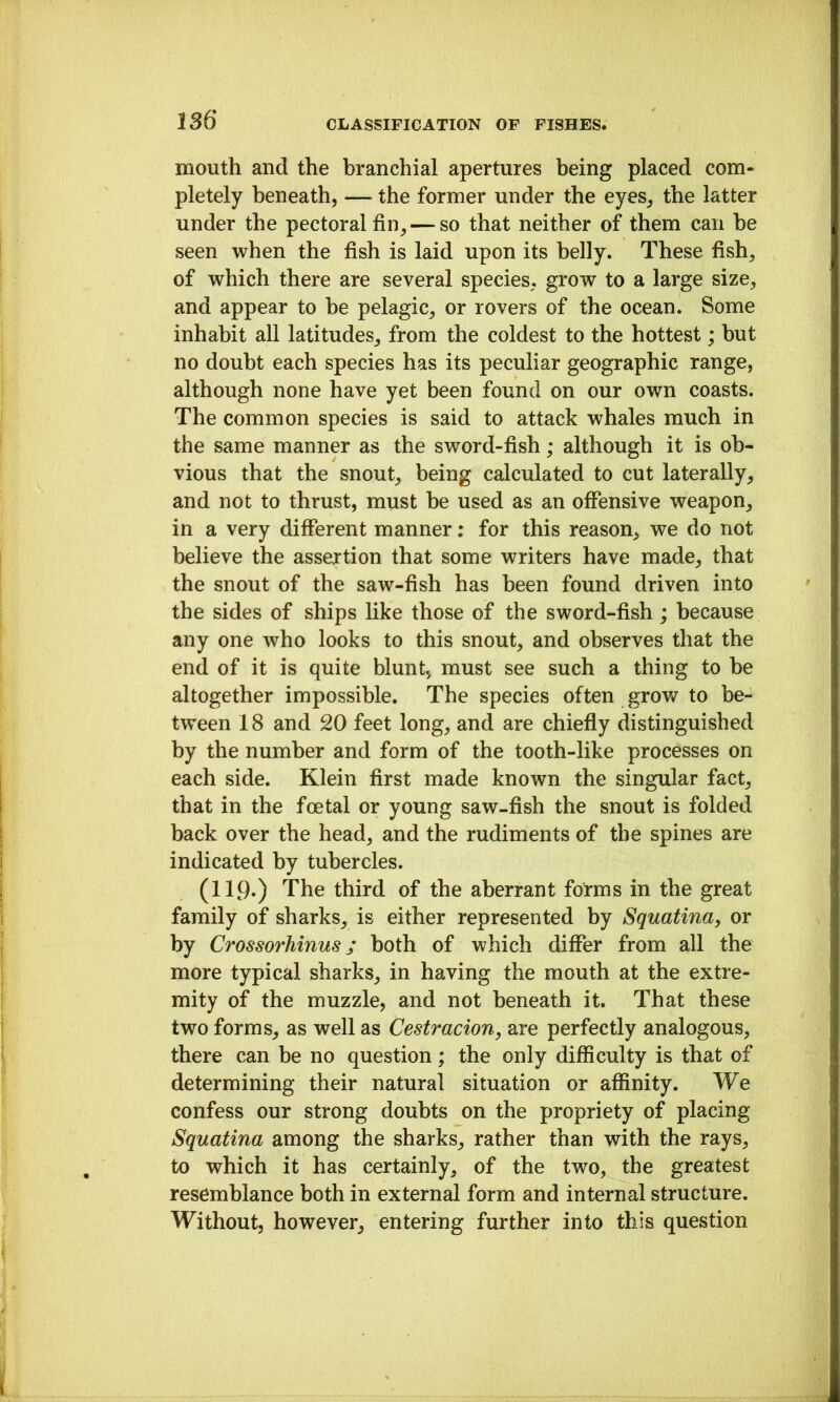 mouth and the branchial apertures being placed com- pletely beneath, — the former under the eyes, the latter under the pectoral fin, — so that neither of them can be seen when the fish is laid upon its belly. These fish, of which there are several species, grow to a large size, and appear to be pelagic, or rovers of the ocean. Some inhabit all latitudes, from the coldest to the hottest; but no doubt each species has its peculiar geographic range, although none have yet been found on our own coasts. The common species is said to attack whales much in the same manner as the sword-fish; although it is ob- vious that the snout, being calculated to cut laterally, and not to thrust, must be used as an offensive weapon, in a very different manner: for this reason, we do not believe the assertion that some writers have made, that the snout of the saw-fish has been found driven into the sides of ships like those of the sword-fish ; because any one who looks to this snout, and observes that the end of it is quite blunt, must see such a thing to be altogether impossible. The species often grow to be- tween 18 and 20 feet long, and are chiefly distinguished by the number and form of the tooth-like processes on each side. Klein first made known the singular fact, that in the foetal or young saw-fish the snout is folded back over the head, and the rudiments of the spines are indicated by tubercles. (119.) The third of the aberrant forms in the great family of sharks, is either represented by Squatina, or by Crossorhinus; both of which differ from all the more typical sharks, in having the mouth at the extre- mity of the muzzle, and not beneath it. That these two forms, as well as Cestracion, are perfectly analogous, there can be no question; the only difficulty is that of determining their natural situation or affinity. We confess our strong doubts on the propriety of placing Squatina among the sharks, rather than with the rays, to which it has certainly, of the two, the greatest resemblance both in external form and internal structure. Without, however, entering further into this question