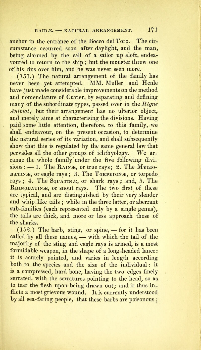 anchor in the entrance of the Bocco del Toro. The cir- cumstance occurred soon after daylight, and the man, being alarmed by the call of a sailor up aloft, endea- voured to return to the ship; but the monster threw one of his fins over him, and he was never seen more. (151.) The natural arrangement of the family has never been yet attempted. MM. Muller and Henle have just made considerable improvements on the method and nomenclature of Cuvier, by separating and defining many of the subordinate types, passed over in the Regne Animal; but their arrangement has no ulterior object, and merely aims at characterising the divisions. Having paid some little attention, therefore, to this family, we shall endeavour, on the present occasion, to determine the natural series of its variation, and shall subsequently show that this is regulated by the same general law that pervades all the other groups of ichthyology. We ar- range the whole family under the five following divi- sions : 1. The Rain.®, or true rays; 2. The Mylio- BATiN^, or eagle rays; 3. The Torpedina:, or torpedo rays; 4. The Squatina3, or shark rays; and, 5. The Rhinobatin^e, or snout rays. The two first of these are typical, and are distinguished by their very slender and whip-like tails ; while in the three latter, or aberrant sub-families (each represented only by a single genus), the tails are thick, and more or less approach those of the sharks. (152.) The barb, sting, or spine, —for it has been called by all these names, — with which the tail of the majority of the sting and eagle rays is armed, is a most formidable weapon, in the shape of a long-headed lance: it is acutely pointed, and varies in length according both to the species and the size of the individual: it is a compressed, hard bone, having the two edges finely serrated, with the serratures pointing to the head, so as to tear the flesh upon being drawn out; and it thus in- flicts a most grievous wound. It is currently understood by all sea-faring people, that these barbs are poisonous;