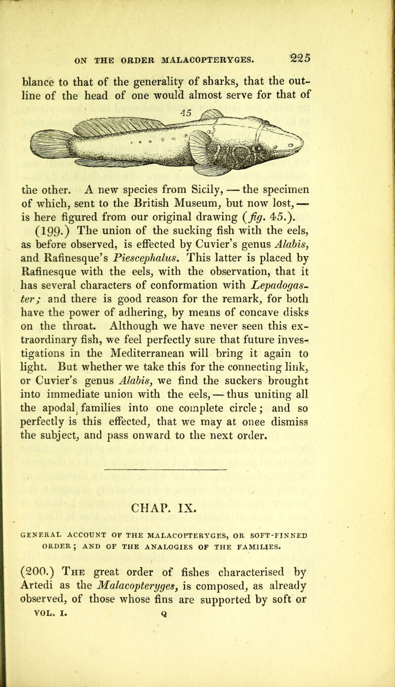 blance to that of the generality of sharks^ that the out- line of the head of one would almost serve for that of the other. A new species from Sicily, — the specimen of which, sent to the British Museum, but now lost,— is here figured from our original drawing (^fig. 45.). (199-) The union of the sucking fish with the eels, as before observed, is effected by Cuvier’s genus Alahis, and Rafinesque’s Piescephalus, This latter is placed by Rafinesque with the eels, with the observation, that it has several characters of conformation with Lepadogas^ ter; and there is good reason for the remark, for both have the power of adhering, by means of concave disks on the throat. Although we have never seen this ex- traordinary fish, we feel perfectly sure that future ihvesr tigations in the Mediterranean will bring it again to light. But whether we take this for the connecting link, or Cuvier’s genus Alahis, we find the suckers brought into immediate union with the eels, — thus uniting all the apodal^ families into one complete circle; and so perfectly is this effected, that we may at onee dismiss the subject, and pass onward to the next order. CHAP. IX. GENERAL ACCOUNT OF THE MALACOPTERYGES, OR SOFT-FINNED ORDER ; AND OF THE ANALOGIES OF THE FAMILIES. (200.) The great order of fishes characterised by Artedi as the Malacopteryges, is composed, as already observed, of those whose fins are supported by soft or VOL. I. Q