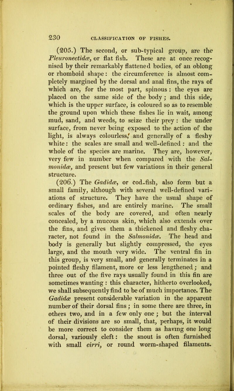 (205.) The second^ or sub-typical group^ are the FleuTonectidcB, or flat fish. These are at once recog- nised by their remarkably flattened bodies, of an oblong or rhomboid shape: the circumference is almost com- pletely margined by the dorsal and anal fins, the rays of which are, for the most part, spinous : the eyes are placed on the same side of the body; and this side, which is the upper surface, is coloured so as to resemble the ground upon which these fishes lie in wait, among mud, sand, and weeds, to seize their prey : the under surface, from never being exposed to the action of the light, is always colourless,' and generally of a fleshy white: the scales are small and well-defined ; and the whole of the species are marine. They are, however, very few in number when compared with the Sal- monidce, and present but few variations in their general structure. (206.) The GadidcB, or cod-fish, also form but a small family, although with several well-defined vari- ations of structure. They have the usual shape of ordinary fishes, and are entirely marine. The small scales of the body are covered, and often nearly concealed, by a mucous skin, which also extends over the fins, and gives them a thickened and fleshy cha- racter, not found in the Salmonidce, The head and body is generally hut slightly compressed, the eyes large, and the mouth very wide. The ventral fin in this group, is very small, and generally terminates in a pointed fleshy filament, more or less lengthened; and three out of the five rays usually found in this fin are sometimes wanting : this character, hitherto overlooked, we shall subsequently find to be of much importance. The GadidcB present considerable variation in the apparent number of their dorsal fins; in some there are three, in others two, and in a few only one ; but the interval of their divisions are so small, that, perhaps, it would be more correct to consider them as having one long dorsal, variously cleft: the snout is often furnished with small cirriy or round worm-shaped filaments*