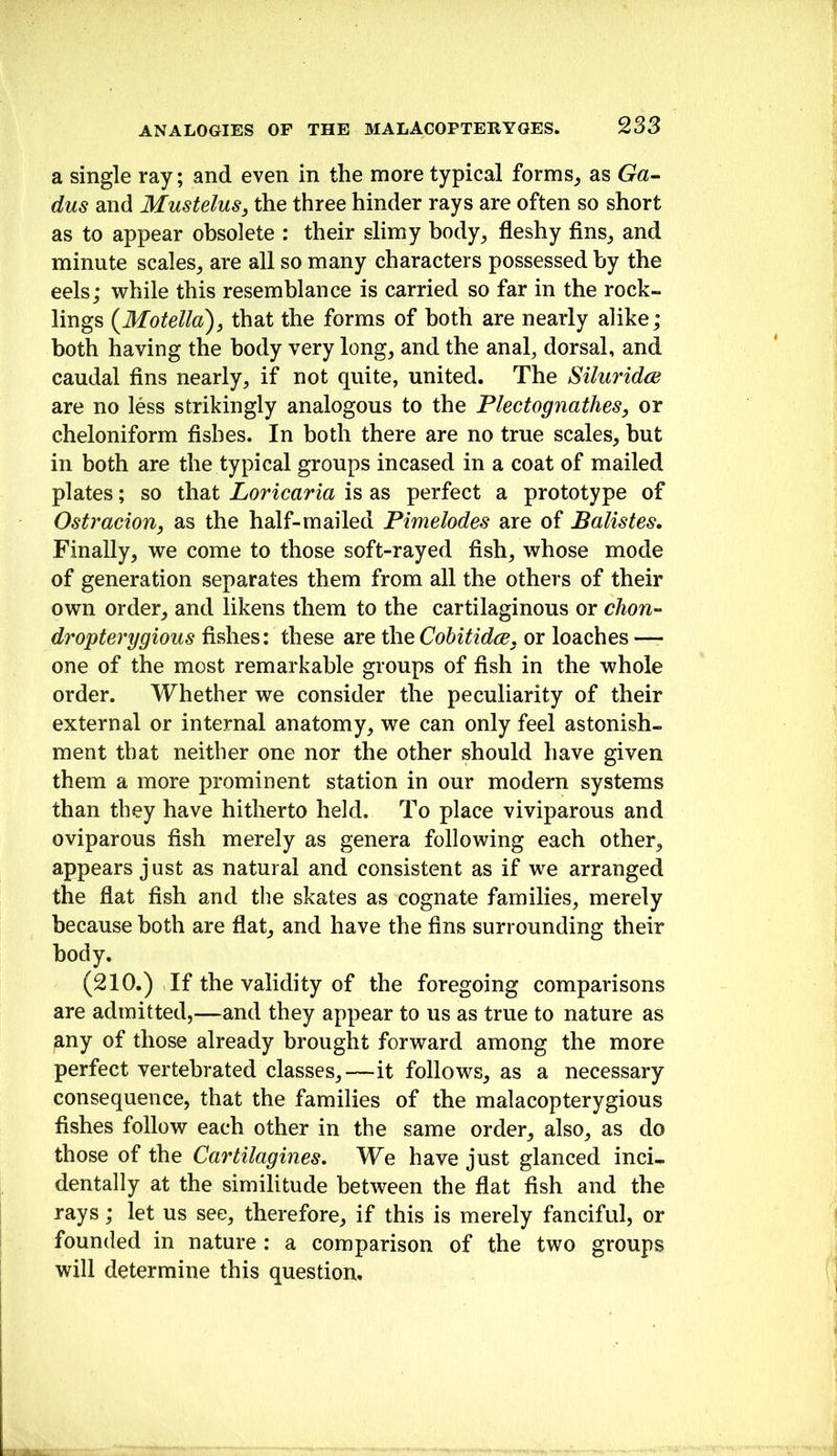 a single ray; and even in the more typical forms^ as Ga- dus and Mustelus, the three hinder rays are often so short as to appear obsolete : their slimy body^ fleshy fins^ and minute scales^ are all so many characters possessed by the eels; while this resemblance is carried so far in the rock- lings {MoteU(£)y that the forms of both are nearly alike; both having the body very long, and the anal, dorsal, and caudal fins nearly, if not quite, united. The SiluridcB are no less strikingly analogous to the Plectognathes, or cheloniform fishes. In both there are no true scales, but in both are the typical groups incased in a coat of mailed plates; so that Loricaria is as perfect a prototype of Ostracion, as the half-mailed Pimelodes are of Balistes, Finally, we come to those soft-rayed fish, whose mode of generation separates them from all the others of their own order, and likens them to the cartilaginous or chon- dropterygious fishes: these are the Cobitidcc, or loaches —- one of the most remarkable groups of fish in the whole order. Whether we consider the peculiarity of their external or internal anatomy, we can only feel astonish- ment that neither one nor the other should have given them a more prominent station in our modern systems than they have hitherto held. To place viviparous and oviparous fish merely as genera following each other, appears just as natural and consistent as if we arranged the flat fish and the skates as cognate families, merely because both are flat, and have the fins surrounding their body. (210.) If the validity of the foregoing comparisons are admitted,—and they appear to us as true to nature as any of those already brought forward among the more perfect vertebrated classes,—it follows, as a necessary consequence, that the families of the malacopterygious fishes follow each other in the same order, also, as do those of the Cartilagines, We have just glanced inci- dentally at the similitude between the flat fish and the rays; let us see, therefore, if this is merely fanciful, or founded in nature : a comparison of the two groups will determine this question.