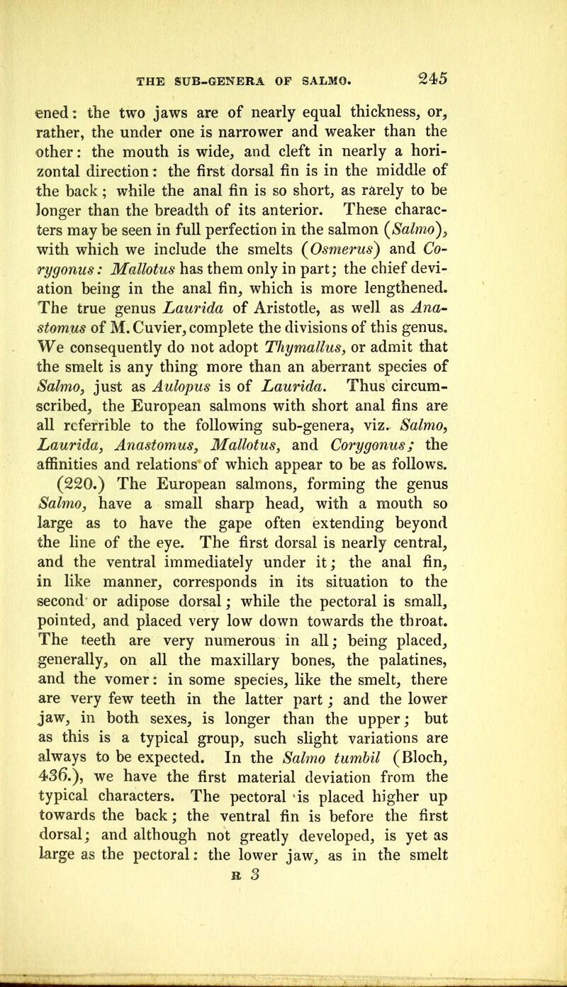 ened : the two jaws are of nearly equal thickness, or, rather, the under one is narrower and weaker than the other: the mouth is wide, and cleft in nearly a hori- zontal direction : the first dorsal fin is in the middle of the back; while the anal fin is so short, as rarely to be longer than the breadth of its anterior. These charac- ters may be seen in full perfection in the salmon (^Salmo), with which we include the smelts (Osmerus) and Co- rygonus: Mallotus has them only in part; the chief devi- ation being in the anal fin, which is more lengthened. The true genus Laurida of Aristotle, as well as Ana^ stomus of M. Cuvier, complete the divisions of this genus. We consequently do not adopt Thymallus, or admit that the smelt is any thing more than an aberrant species of Salmo, just as Aulopus is of Laurida, Thus circum- scribed, the European salmons with short anal fins are all referrible to the following sub-genera, viz. Salmo, Laurida, Anastomus, Mallotus, and Corygonus; the affinities and relations of which appear to be as follows. (220.) The European salmons, forming the genus Salmo, have a small sharp head, with a mouth so large as to have the gape often extending beyond the line of the eye. The first dorsal is nearly central, and the ventral immediately under it; the anal fin, in like manner, corresponds in its situation to the second or adipose dorsal; while the pectoral is small, pointed, and placed very low down towards the throat. The teeth are very numerous in all; being placed, generally, on all the maxillary bones, the palatines, and the vomer: in some species, like the smelt, there are very few teeth in the latter part; and the lower jaw, in both sexes, is longer than the upper; but as this is a typical group, such slight variations are always to be expected. In the Salmo tumbil (Bloch, 436.), we have the first material deviation from the typical characters. The pectoral ’is placed higher up towards the back; the ventral fin is before the first dorsal; and although not greatly developed, is yet as large as the pectoral: the lower jaw, as in the smelt B 3