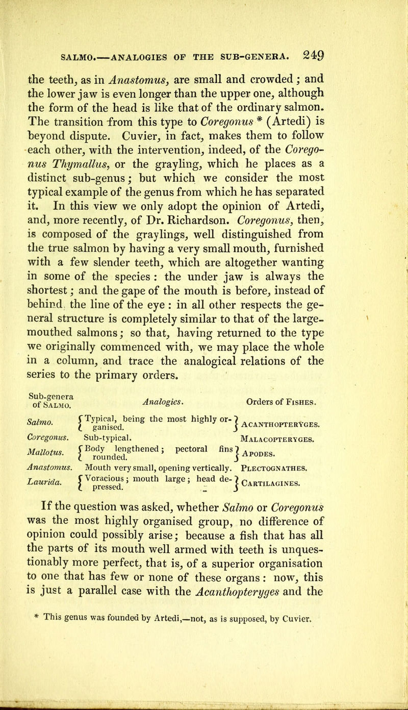 the teethj as in Anastomus, are small and crowded ; and the lower jaw is even longer than the upper one^ although the form of the head is like that of the ordinary salmon. The transition from this type to Coregonus * (Artedi) is beyond dispute. Cuvier^ in fact^ makes them to follow each other^ with the intervention^, indeed, of the Corego- nus Thymallus^ or the grayling, which he places as a distinct sub-genus; but which we consider the most typical example of the genus from which he has separated it. In this view we only adopt the opinion of Artedi, and, more recently, of Dr. Richardson. Coregonus, then, is composed of the graylings, well distinguished from the true salmon by having a very small mouth, furnished with a few slender teeth, which are altogether wanting in some of the species : the under jaw is always the shortest; and the gape of the mouth is before, instead of behind the line of the eye : in all other respects the ge- neral structure is completely similar to that of the large- mouthed salmons; so that, having returned to the type we originally commenced with, we may place the whole in a column, and trace the analogical relations of the series to the primary orders. ^o^Salmo^ Analogies. Orders of Fishes. w-m/i rTypical, being the most highly or-7 , baimo. ^ ganised. & j j Acanthopteryges. Coregonus. Sub-typical. Malacopteryges. Mallotus. [^roLded^^^^^^^’ pectoral Anastomus. Mouth very small, opening vertically. Plectognathes, Laurida. [ Cartilagines. If the question was asked, whether Salmo or Coregonus was the most highly organised group, no difference of opinion could possibly arise; because a fish that has all the parts of its mouth well armed with teeth is unques- tionably more perfect, that is, of a superior organisation to one that has few or none of these organs: now, this is just a parallel case with the Acanthopteryges and the * This genus was founded by Artedi,—not, as is supposed, by Cuvier,