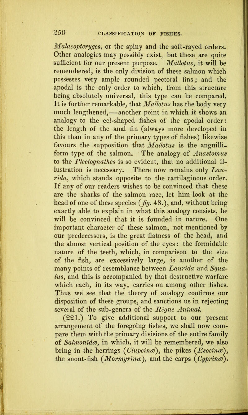 Malacopteryges, or the spiny and the soft-rayed orders. Other analogies may possibly exists but these are quite sufficient for our present purpose. Mallotus, it will be remembered, is the only division of these salmon which possesses very ample rounded pectoral fins; and the apodal is the only order to which, from this structure being absolutely universal, this type can be compared. It is further remarkable, that Mallotus has the body very much lengthened,—another point in which it shows an analogy to the eel-shaped fishes of the apodal order: the length of the anal fin (always more developed in this than in any of the primary types of fishes) likewise favours the supposition that Mallotus is the anguilli- form type of the salmon. The analogy of Anastomus to the Plectognathes is so evident, that no additional il- lustration is necessary. There now remains only Lau- rida, which stands opposite to the cartilaginous order. If any of our readers wishes to be convinced that these are the sharks of the salmon race, let him look at the head of one of these species (Jig. 48.), and, without being exactly able to explain in what this analogy consists, he will be convinced that it is founded in nature. One important character of these salmon, not mentioned by our predecessors, is the great flatness of the head, and the almost vertical position of the eyes: the formidable nature of the teeth, which, in comparison to the size of the fish, are excessively large, is another of the many points of resemblance between Laurida and Squa- lus, and this is accompanied by that destructive warfare which each, in its way, carries on among other fishes. Thus we see that the theory of analogy confirms our disposition of these groups, and sanctions us in rejecting several of the sub-genera of the Regne Animal. (221.) To give additional support to our present arrangement of the foregoing fishes, we shall now com- pare them with the primary divisions of the entire family of Salmonidce, in which, it will be remembered, we also bring in the herrings (ClupeincB), the pikes (EsocincB), the snout-fish (MormyrincB)^ and the carps (Cyprinai).