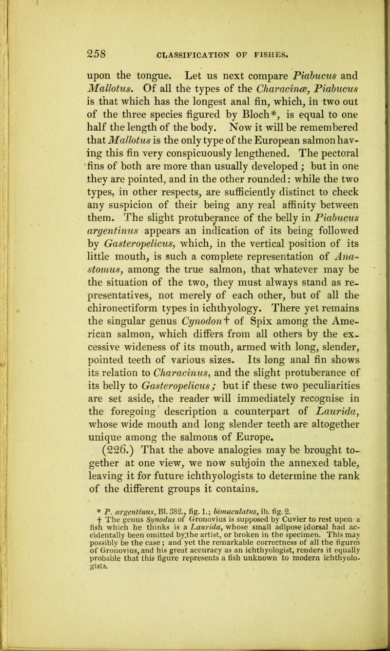 upon the tongue. Let us next compare Piahucus and Mallotus, Of all the types of the CharacincB, Piahucus is that which has the longest anal fin, which, in two out of the three species figured by Bloch*, is equal to one half the length of the body. Now it will be remembered that Mallotus is the only type of the European salmon hav- ing this fin very conspicuously lengthened. The pectoral fins of both are more than usually developed; but in one they are pointed, and in the other rounded: while the two types, in other respects, are sufficiently distinct to check any suspicion of their being any real affinity between them. The slight protuberance of the belly in Piahucus argentinus appears an indication of its being followed by Gasteropelicus, which, in the vertical position of its little mouth, is such a complete representation of Ana- stomus, among the true salmon, that whatever may be the situation of the two, they must always stand as re- presentatives, not merely of each other, but of all the chironectiform types in ichthyology. There yet remains the singular genus Cynodonf of Spix among the Ame- rican salmon, which differs from all others by the ex- cessive wideness of its mouth, armed with long, slender, pointed teeth of various sizes. Its long anal fin shows its relation to Characinus, and the slight protuberance of its belly to Gasteropelicus; but if these two peculiarities are set aside, the reader will immediately recognise in the foregoing description a counterpart of Laurida, whose wide mouth and long slender teeth are altogether unique among the salmons of Europe. (226.) That the above analogies may be brought to- gether at one view, we now subjoin the annexed table, leaving it for future ichthyologists to determine the rank of the different groups it contains. * P. argentinus, Bl. 382., fig. 1.; Umaculatus, ib. fig. 2. f The genus Synodus of Gronovius is supposed by Cuvier to rest upon a fish which he thinks is a Laurida, whose small adipose ^dorsal had ac- cidentally been omitted by;;the artist, or broken in the specimen. This may possibly be the case ; and yet the remarkable correctness of all the figure's of Gronovius, and his great accuracy as an ichthyologist, renders it equally probable that this figure represents a fish unknown to modern ichthyolo- gists.