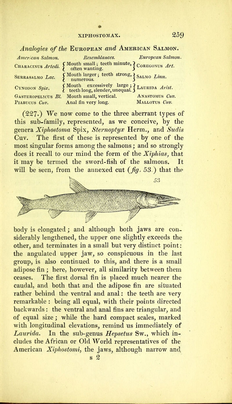 XIPH0ST03IAX. m Analogies of the European and American Salmon. (227.) We now come to the three aberrant types of this suh-family, represented^ as we conceive^ hy the genera Xiphostoma Spix_, Sternoptyoo Herm._, and Sudis Cuv. The first of these is represented by one of the most singular forms among the salmons; and so strongly does it recall to our mind the form of the Xiphias^ that it may be termed the sword-fish of the salmons. It will be seen, from the annexed cut 53.) that the body is elongated; and although both jaws are con- siderably lengthened, the upper one slightly exceeds the other, and terminates in a small but very distinct point: the angulated upper jaw, so conspicuous in the last group, is also continued to this, and there is a small adipose fin; here, however, all similarity between them ceases. The first dorsal fin is placed much nearer the caudal, and both that and the adipose fin are situated rather behind the ventral and anal: the teeth are very remarkable : being all equal, with their points directed backwards: the ventral and anal fins are triangular_, and of equal size; while the hard compact scales, marked with longitudinal elevations, remind us immediately of Laurida. In the sub-genus Hepsetus Sw., which in- cludes the African or Old World representatives of the American Xiphostomi, the jaws, although narrow and, American Salmon. Resemblances. Euro'pean Salmon. Gasteropelicus Bl. Mouth small, vertical. PiABUcus Cuv. Anal fin very long. Anastomus Cuv. Mallotus Cuv.