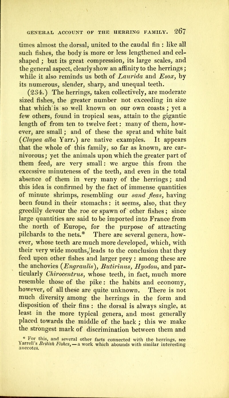 GENERAL ACCOUNT OF THE HERRING FAMILY. 26? times almost the dorsal^ united to the caudal fin : like all such fishes^ the body is more or less lengthened and eel- shaped ; but its great compression, its large scales, and the general aspect, clearly show an affinity to the herrings; while it also reminds us both of Laurida and Esooc, by its numerous, slender, sharp, and unequal teeth. (234.) The herrings, taken collectively, are moderate sized fishes, the greater number not exceeding in size that which’is so well known on our own coasts; yet a few others, found in tropical seas, attain to the gigantic length of from ten to twelve feet: many of them, how- ever, are small; and of these the sprat and white bait [Clupea alba Yarr.) are native examples. It appears that the whole of this family, so far as known, are car- nivorous; yet the animals upon which the greater part of them feed, are very small: we argue this from the excessive minuteness of the teeth, and even in the total absence of them in very many of the herrings; and this idea is confirmed by the fact of immense quantities of minute shrimps, resembling our sand fleas, having been found in their stomachs: it seems, also, that they greedily devour the roe or spawn of other fishes ; since large quantities are said to be imported into France from the north of Europe, for the purpose of attracting pilchards to the nets.* There are several genera, how- ever, whose teeth are much more developed, which, with their very wide mouths,[leads to the conclusion that they feed upon other fishes and larger prey : among these are the anchovies (^EngrauUs), Butirinus, Hyodon, and par- ticularly CMrocentrus, whose teeth, in fact, much more resemble those of the pike: the habits and economy, however, of all these are quite unknown. There is not much diversity among the herrings in the form and disposition of their fins : the dorsal is always single, at least in the more typical genera, and most generally placed towards the middle of the back ; this we make the strongest mark of discrimination between them and * For this, and several other facts connected with the herrings, see Yarrell s British Fishes, — a work which abounds with similar interesting anecotes.