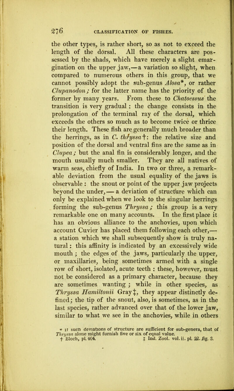 the other types^ is rather shorty so as not to exceed the length of the dorsal. All these characters are pos- sessed by the shads_, which have merely a slight emar- gination on the upper jaw,—a variation so slight, when compared to numerous others in this group, that we cannot possibly adopt the sub-genus Alosa^, or rather Clupanodon; for the latter name has the priority of the former by many years. From these to Chatoessus the transition is very gradual; the change consists in the prolongation of the terminal ray of the dorsal, which exceeds the others so much as to become twice or thrice their length. These fish are generally much broader than the herrings, as in C. thfyssa^: the relative size and position of the dorsal and ventral fins are the same as in Clupea; but the anal fin is considerably longer, and the mouth usually much smaller. They are all natives of warm seas, chiefly of India. In two or three, a remark- able deviation from the usual equality of the jaws is observable : the snout or point of the upper jaw projects beyond the under,— a deviation of structure which can only be explained when we look to the singular herrings forming the sub-genus Thryssa; this group is a very remarkable one on many accounts. In the first place it has an obvious alliance to the anchovies, upon which account Cuvier has placed them following each other,— a station which we shall subsequently show is truly na- tural : this affinity is indicated by an excessively wide mouth; the edges of the jaws, particularly the upper, or maxillaries, being sometimes armed with a single row of short, isolated, acute teeth : these, however, must not be considered as a primary character, because they are sometimes wanting ; while in other species, as Thryssa Hamiltonii GrayJ, they appear distinctly de- fined; the tip of the snout, also, is sometimes, as in the last species, rather advanced over that of the lower jaw, similar to what we see in the anchovies, while in others If sucn deviations of structure are sufficient for sub-genera, that of Thryssa alone might furnish five or six of equal value, f Bloch, pi. 404. t Ind. Zool. vol. ii. pL .fig. 3.