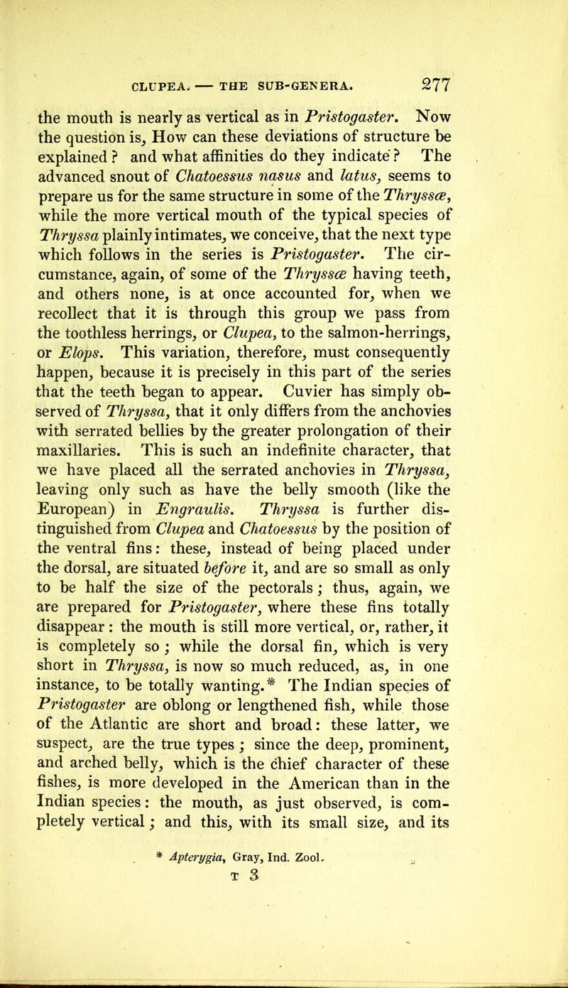the mouth is nearly as vertical as in Pristogaster, Now the question is^ Hov>^ can these deviations of structure be explained? and what affinities do they indicate? The advanced snout of Chatoessus nasus and latus, seems to prepare us for the same structure in some of the Thryssce, while the more vertical mouth of the typical species of Thryssa plainly intimates^ we conceive^ that the next type which follows in the series is Pristogaster, The cir- cumstance, again, of some of the Thryssce having teeth, and others none, is at once accounted for, when we recollect that it is through this group we pass from the toothless herrings, or Clupea^ to the salmon-herrings, or Flops, This variation, therefore, must consequently happen, because it is precisely in this part of the series that the teeth began to appear. Cuvier has simply ob- served of Thryssa, that it only differs from the anchovies with serrated bellies by the greater prolongation of their maxillaries. This is such an indefinite character, that we have placed all the serrated anchovies in Thryssa, leaving only such as have the belly smooth (like the European) in Engraulis, Thryssa is further dis- tinguished from Clupea and Chatoessus by the position of the ventral fins: these, instead of being placed under the dorsal, are situated before it, and are so small as only to be half the size of the pectorals; thus, again, we are prepared for Pristogaster, where these fins totally disappear: the mouth is still more vertical, or, rather, it is completely so; while the dorsal fin, which is very short in Thryssa, is now so much reduced, as, in one instance, to be totally wanting. The Indian species of Pristogaster are oblong or lengthened fish, while those of the Atlantic are short and broad: these latter, we suspect, are the true types; since the deep, prominent, and arched belly, which is the chief character of these fishes, is more developed in the American than in the Indian species: the mouth, as just observed, is com- pletely vertical; and this, with its small size, and its Apterygia, Gray, Ind. 21ooL