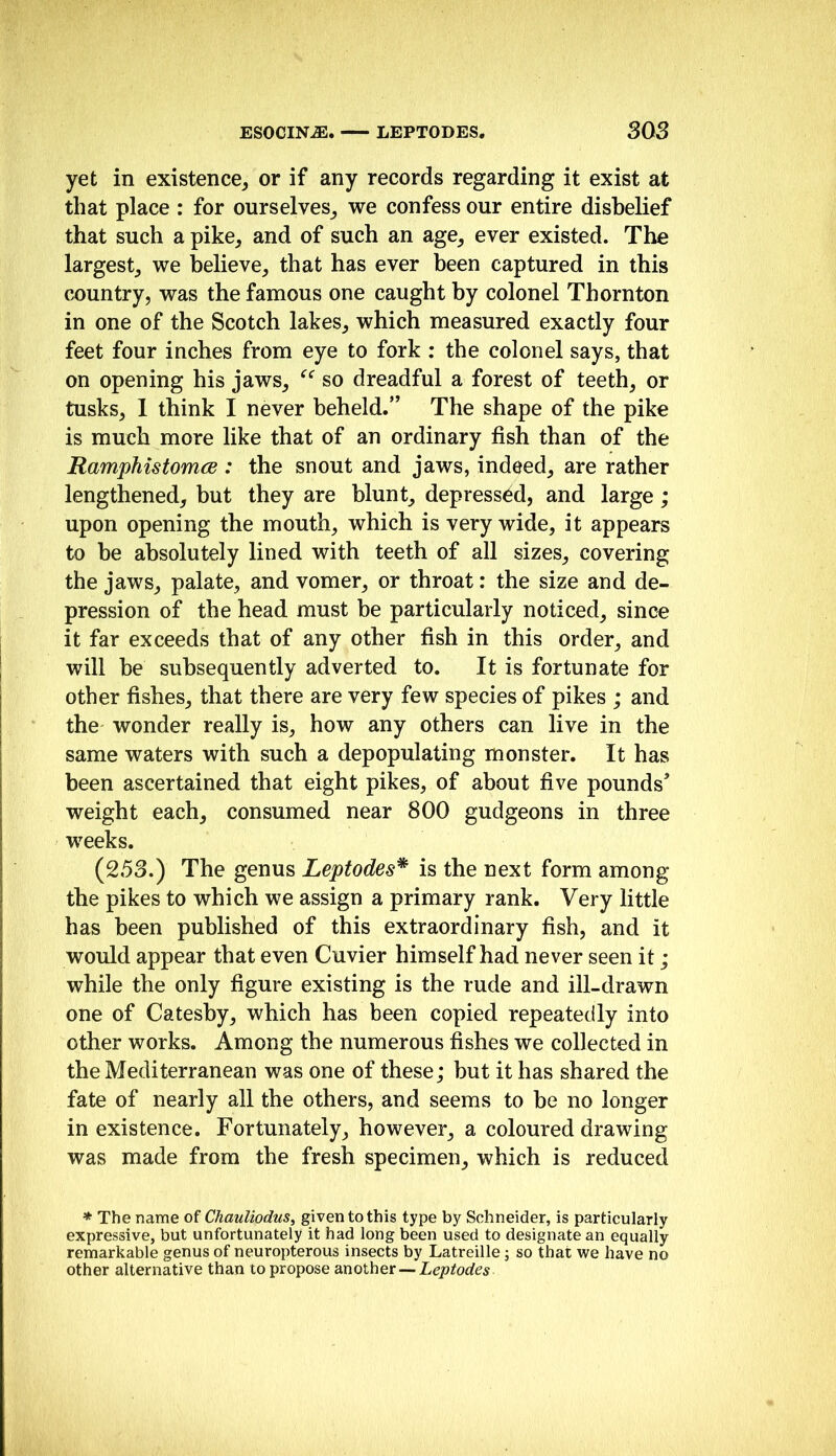 ESOCIN^. LEPTODES. SOS yet in existence, or if any records regarding it exist at that place : for ourselves, we confess our entire disbelief that such a pike, and of such an age, ever existed. The largest, we believe, that has ever been captured in this country, was the famous one caught by colonel Thornton in one of the Scotch lakes, which measured exactly four feet four inches from eye to fork : the colonel says, that on opening his jaws, so dreadful a forest of teeth, or tusks, 1 think I never beheld.” The shape of the pike is much more like that of an ordinary fish than of the RamphistomcB : the snout and jaws, indeed, are rather lengthened, but they are blunt, depressed, and large; upon opening the mouth, which is very wide, it appears to be absolutely lined with teeth of all sizes, covering the jaws, palate, and vomer, or throat: the size and de- pression of the head must be particularly noticed, since it far exceeds that of any other fish in this order, and will be subsequently adverted to. It is fortunate for other fishes, that there are very few species of pikes ; and the wonder really is, how any others can live in the same waters with such a depopulating monster. It has been ascertained that eight pikes, of about five pounds^ weight each, consumed near 800 gudgeons in three weeks. (253.) The genus Leptodes^ is the next form among the pikes to which we assign a primary rank. Very little has been published of this extraordinary fish, and it would appear that even Cuvier himself had never seen it ; while the only figure existing is the rude and ill-drawn one of Cates%, which has been copied repeatedly into other works. Among the numerous fishes we collected in the Mediterranean was one of these; but it has shared the fate of nearly all the others, and seems to be no longer in existence. Fortunately, however, a coloured drawing was made from the fresh specimen, which is reduced * The name of Chauliodus^ given to this type by Schneider, is particularly expressive, but unfortunately it had long been used to designate an equally remarkable genus of neuropterous insects by Latreille j so that we have no other alternative than to propose dxiothetLeptodes