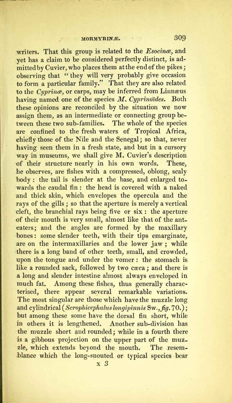 writers. That this group is related to EsocincBy and yet has a claim to be considered perfectly distinct^ is ad- mitted by Cuvier, who places them at the end of the pikes; observing that they will very probably give occasion to form a particular family.'’ That they are also related to the CypriruB, or carps, may be inferred from Linnaeus having named one of the species M. Cyprino'ides. Both these opinions are reconciled by the situation we now assign them, as an intermediate or connecting group be- tween these two sub-families. The whole of the species are confined to the fresh waters of Tropical Africa, chiefly those of the Nile and the Senegal; so that, never having seen them in a fresh state, and but in a cursory way in museums, we shall give M. Cuvier’s description of their structure nearly in his own words. These, he observes, are fishes with a compressed, oblong, scaly body : the tail is slender at the base, and enlarged to- wards the caudal fin : the head is covered with a naked and thick skin, which envelopes the opercula and the rays of the gills ; so that the aperture is merely a vertical cleft, the branchial rays being five or six : the aperture of their mouth is very small, almost like that of the ant- eaters; and the angles are formed by the maxillary bones: some slender teeth, with their tips emarginate, are on the intermaxillaries and the lower jaw ; while there is a long band of other teeth, small, and crowded, upon the tongue and under the vomer : the stomach is like a rounded sack, followed by two caeca; and there is a long and slender intestine almost always enveloped in much fat. Among these fishes, thus generally charac- terised, there appear several remarkable variations. The most singular are those which have the muzzle long and cylindrical (^ScropMcepJialuslongipinnis 70.); but among these some have the dorsal fin short, while in others it is lengthened. Another sub-division has the muzzle short and rounded; while in a fourth there is a gibbous projection on the upper part of the muz- zle, which extends beyond the mouth. The resem- blance which the long-snouted or typical species bear x 3