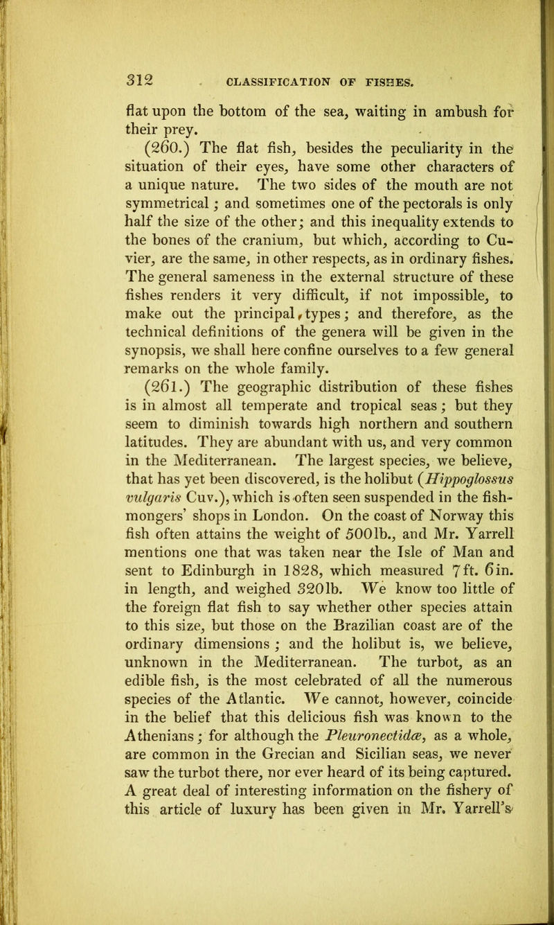 fiat upon the bottom of the sea, waiting in ambush for their prey. (260.) The flat fish, besides the peculiarity in the situation of their eyes, have some other characters of a unique nature. The two sides of the mouth are not symm.etrical; and sometimes one of the pectorals is only half the size of the other; and this inequality extends to the bones of the cranium, but which, according to Cu- vier, are the same, in other respects, as in ordinary fishes. The general sameness in the external structure of these fishes renders it very difficult, if not impossible, to make out the principal ^ types; and therefore, as the technical definitions of the genera will be given in the synopsis, we shall here confine ourselves to a few general remarks on the whole family. (261.) The geographic distribution of these fishes is in almost all temperate and tropical seas; but they seem to diminish towards high northern and southern latitudes. They are abundant with us, and very common in the Mediterranean. The largest species, we believe, that has yet been discovered, is the holibut (^Hippoglossus vulgaris Cuv.), which is often seen suspended in the fish- mongers’ shops in London. On the coast of Norway this fish often attains the weight of 5001b., and Mr. Yarrell mentions one that was taken near the Isle of Man and sent to Edinburgh in 1828, which measured 7ft. 6in. in length, and weighed 3201b. We know too little of the foreign flat fish to say whether other species attain to this size, but those on the Brazilian coast are of the ordinary dimensions; and the holibut is, we believe, unknown in the Mediterranean. The turbot, as an edible fish, is the most celebrated of all the numerous species of the Atlantic. We cannot, however, coincide in the belief that this delicious fish was known to the Athenians; for although the Pleuronectidce, as a whole, are common in the Grecian and Sicilian seas, we never saw the turbot there, nor ever heard of its being captured. A great deal of interesting information on the fishery of this article of luxury has been given in Mr, YarrelFs*