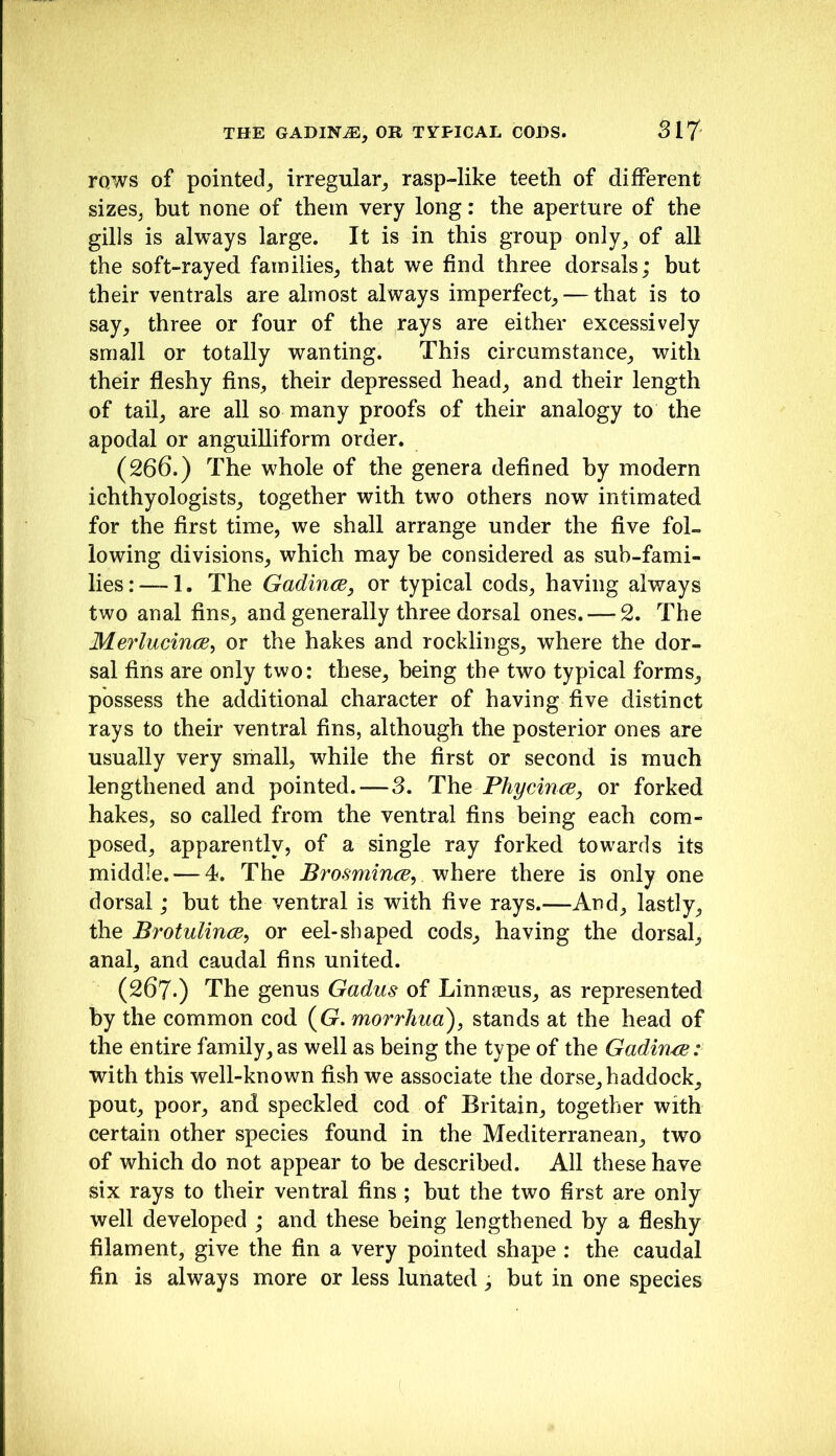 THE GADIN^, OR TYPICAL CODS. Sl7 rows of pointed_, irregular^ rasp-like teeth of different sizes, but none of them very long: the aperture of the gills is always large. It is in this group only, of all the soft-rayed families, that we find three dorsals; but their ventrals are almost always imperfect, — that is to say, three or four of the rays are either excessively small or totally wanting. This circumstance, with their fleshy fins, their depressed head, and their length of tail, are all so many proofs of their analogy to the apodal or anguilliform order. (266.) The whole of the genera defined by modern ichthyologists, together with two others now intimated for the first time, we shall arrange under the five fol- lowing divisions, which may he considered as sub-fami- lies:— 1. The Gadince, or typical cods, having always two anal fins, and generally three dorsal ones. — 2. The Merlucirus, or the hakes and rocklings, where the dor- sal fins are only two: these, being the two typical forms, possess the additional character of having five distinct rays to their ventral fins, although the posterior ones are usually very small, while the first or second is much lengthened and pointed.—3, The PhycincE, or forked hakes, so called from the ventral fins being each com- posed, apparently, of a single ray forked towards its middle. — 4. The Brosmince, where there is only one dorsal; but the ventral is with five rays.—And, lastly, the Brotulince, or eel-shaped cods, having the dorsal, anal, and caudal fins united. (267-) The genus Gadus of Linnaeus, as represented by the common cod {G. morrhua), stands at the head of the entire family, as well as being the type of the Gadin^: with this well-known fish we associate the dorse, haddock, pout, poor, and speckled cod of Britain, together with certain other species found in the Mediterranean, two of which do not appear to he described. All these have six rays to their ventral fins ; but the two first are only well developed ; and these being lengthened by a fleshy filament, give the fin a very pointed shape : the caudal fin is always more or less lunated; but in one species