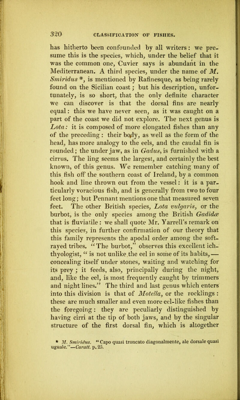 has hitherto been confounded by all writers: we pre- sume this is the species^ which_, under the belief that it was the common one^ Cuvier says is abundant in the Mediterranean. A third species^ under the name of M, Smiridus is mentioned by Rafinesque, as being rarely found on the Sicilian coast; but his description^ unfor- tunately_, is so shorty that the only definite character we can discover is that the dorsal fins are nearly equal: this we have never seen, as it was caught on a part of the coast we did not explore. The next genus is Lota: it is composed of more elongated fishes than any of the preceding : their bcviy, as well as the form of the head, has more analogy to the eels, and the caudal fin is rounded; the under jaw, as in Gadus^is furnished with a cirrus. The ling seems the largest, and certainly the best known, of this genus. We remember catching many of this fish off the southern coast of Ireland, by a common hook and line thrown out from the vessel: it is a par- ticularly voracious fish, and is generally from two to four feet long; but Pennant mentions one that measured seven feet. The other British species. Lota vulgaris, or the burbot, is the only species among the British Gadidce that is fluviatile : we shall quote Mr. Yarreirs remark on this species, in further confirmation of our theory that this family represents the apodal order among the soft- rayed tribes. ‘‘^The burbot,” observes this excellent ich- thyologist, is not unlike the eel in some of its habits, — concealing itself under stones, waiting and watching for its prey ; it feeds, also, principally during the night, and, like the eel, is most frequently caught by trimmers and night lines.^ The third and last genus which enters into this division is that of Motella, or the rocklings : these are much smaller and even more eel-like fishes than the foregoing: they are peculiarly distinguished by having cirri at the tip of both jaws, and by the singular structure of the first dorsal fin, which is altogether * M. Smiridus. “ Capo quasi troncato diagonalmente, ale dorsale quasi uguale.”—Caratt. p, 25.