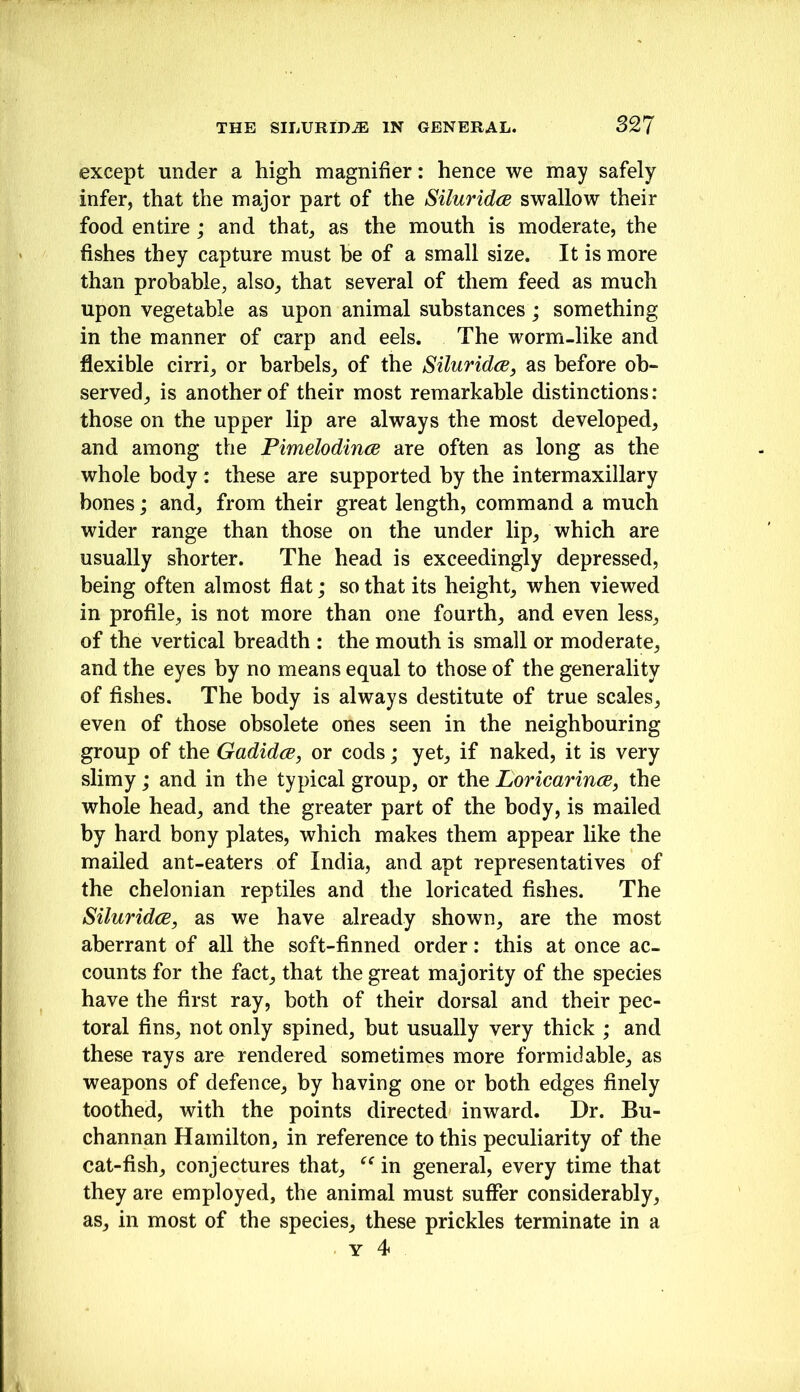 except under a high magnifier: hence we may safely infer, that the major part of the SiluridcB swallow their food entire; and that, as the mouth is moderate, the fishes they capture must be of a small size. It is more than probable, also, that several of them feed as much upon vegetable as upon animal substances; something in the manner of carp and eels. The worm-like and flexible cirri, or barbels, of the Siluridce, as before ob- served, is another of their most remarkable distinctions: those on the upper lip are always the most developed, and among the Pimelodince are often as long as the whole body : these are supported by the intermaxillary bones; and, from their great length, command a much wider range than those on the under lip, which are usually shorter. The head is exceedingly depressed, being often almost flat; so that its height, when viewed in profile, is not more than one fourth, and even less, of the vertical breadth : the mouth is small or moderate, and the eyes by no means equal to those of the generality of fishes. The body is always destitute of true scales, even of those obsolete ones seen in the neighbouring group of the Gadidw, or cods; yet, if naked, it is very slimy; and in the typical group, or the Loricarince, the whole head, and the greater part of the body, is mailed by hard bony plates, which makes them appear like the mailed ant-eaters of India, and apt representatives of the chelonian reptiles and the loricated fishes. The SiluridcB, as we have already shown, are the most aberrant of all the soft-finned order: this at once ac- counts for the fact, that the great majority of the species have the first ray, both of their dorsal and their pec- toral fins, not only spined, but usually very thick ; and these rays are rendered sometimes more formidable, as weapons of defence, by having one or both edges finely toothed, with the points directed inward. Dr. Bu- channan Hamilton, in reference to this peculiarity of the cat-fish, conjectures that, in general, every time that they are employed, the animal must suffer considerably, as, in most of the species, these prickles terminate in a