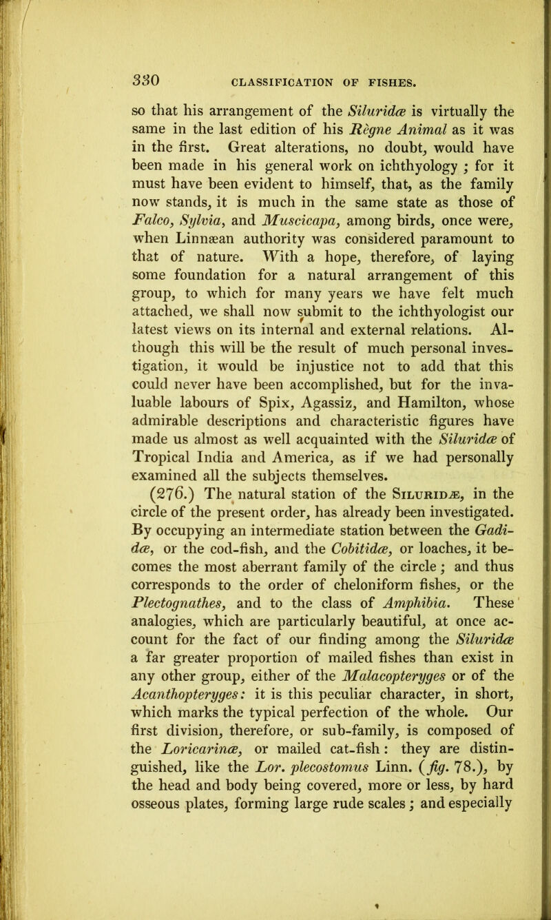 SO that his arrangement of the Siluridce is virtually the same in the last edition of his Regne Animal as it was in the first. Great alterations, no doubt, would have been made in his general work on ichthyology ; for it must have been evident to himself, that, as the family now stands, it is much in the same state as those of FalcOy Sylvia^ and Muscicapa, among birds, once were, when Linnaean authority was considered paramount to that of nature. With a hope, therefore, of laying some foundation for a natural arrangement of this group, to which for many years we have felt much attached, we shall now submit to the ichthyologist our latest views on its internal and external relations. Al- though this will be the result of much personal inves- tigation, it would be injustice not to add that this could never have been accomplished, but for the inva- luable labours of Spix, Agassiz, and Hamilton, whose admirable descriptions and characteristic figures have made us almost as well acquainted with the Siluridce of Tropical India and America, as if we had personally examined all the subjects themselves. (276.) The^ natural station of the Silurid^, in the circle of the present order, has already been investigated. By occupying an intermediate station between the Gadi- dce, or the cod-fish, and the Cohitidce, or loaches, it be- comes the most aberrant family of the circle; and thus corresponds to the order of cheloniform fishes, or the Plectognathes, and to the class of Amphibia, These analogies, which are particularly beautiful, at once ac- count for the fact of our finding among the Siluridce a far greater proportion of mailed fishes than exist in any other group, either of the Malacopteryges or of the Acanthopteryges: it is this peculiar character, in short, which marks the typical perfection of the whole. Our first division, therefore, or sub-family, is composed of the Loricarince, or mailed cat-fish: they are distin- guished, like the Lor, plecostomus Linn, {jig, 78.), by the head and body being covered, more or less, by hard osseous plates, forming large rude scales; and especially