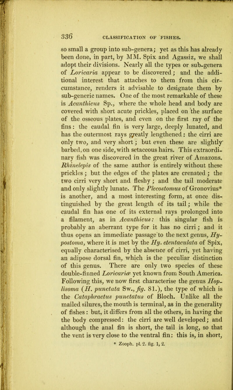 SO small a group into sub-genera; yet as this has already been done, in part, by MM, Spix and Agassiz, we shall adopt their divisions. Nearly all the types or sub-genera of Loricaria appear to be discovered; and the addi- tional interest that attaches to them from this cir- cumstance, renders it advisable to designate them by sub-generic names. One of the most remarkable of these is AcantMcus Sp., where the whole head and body are covered with short acute prickles, placed on the surface of the osseous plates, and even on the first ray of the fins: the caudal fin is very large, deeply lunated, and has the outermost rays greatly lengthened: the cirri are only two, and very short; but even these are slightly’ barbed, on one side, with setaceous hairs. This extraordi- nary fish was discovered in the great river of Amazons. Rhinelepis of the same author is entirely without these prickles; but the edges of the plates are crenated; the two cirri very short and fleshy; and the tail moderate and only slightly lunate. The Plecostomus of Gronovius* is another, and a most interesting form, at once dis- tinguished by the great length of its tail; while the caudal fin has one of its external rays prolonged into a filament, as in AcantMcus: this singular fish is probably an aberrant type for it has no cirri; and it thus opens an immediate passage to the next genus, Hy- postoma, where it is met by the Hy. etentaculata of Spix, equally characterised hy the absence of cirri, yet having an adipose dorsal fin, which is the peculiar distinction of this genus. There are only two species of these double-finned Loricaricc yet known from South America. Following this, we now first characterise the genus Hop- lisoma (^H, punctata ^w,,fig. 81.), the type of which is the Cataphractus punctatus of Bloch. Unlike all the mailed silures, the mouth is terminal, as in the generaHty of fishes : but, it differs from all the others, in having the the body compressed: the cirri are well developed; and although the anal fin is short, the tail is long, so that the vent is very close to the ventral fin; this is, in short, * Zooph. pi. 2. fig. 1, 2.