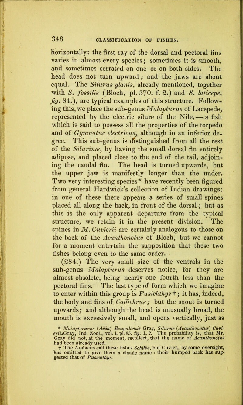 horizontally: the first ray of the dorsal and pectoral fins varies in almost every species; sometimes it is smooth, and sometimes serrated on one or on both sides. The head does not turn upv^^ard; and the jaws are about equal. The Silurus glanis, already mentioned, together with S, fossilis (Bloch, pi. 370. f. 2.) and S, laticeps, Jig, 84.), are typical examples of this structure. Follow- ing this, we place the sub-genus Malapturus of Lacepede, represented by the electric silure of the Nile,— a fish which is said to possess all the properties of the torpedo and oi Gymnotus electricus, although in an inferior de- gree. This sub-genus is distinguished from all the rest of the Silurince, by having the small dorsal fin entirely adipose, and placed close to the end of the tail, adjoin- ing the caudal fin. The head is turned upwards, but the upper jaw is manifestly longer than the under. Two very interesting species* have recently been figured from general Hardwick’s collection of Indian drawings: in one of these there appears a series of small spines placed all along the back, in front of the dorsal; but as this is the only apparent departure from the typical structure, we retain it in the present division. The spines in M, Cuvierii are certainly analogous to those on the back of the Acanthonotus of Bloch, but we cannot for a moment entertain the supposition that these two fishes belong even to the same order. (284.) The very small size of the ventrals in the sub-genus Malapturus deserves notice, for they are almost obsolete, being nearly one fourth less than the pectoral fins. The last type of form which we imagine to enter within this group is Pusichthys\; it has, indeed, the body and fins of Callichrus; but the snout is turned upwards; and although the head is unusually broad, the mouth is excessively small, and opens vertically, just as * Malapterurus {Ailia) Bengalensis Gray, Silurus {Acanthonotus) Cuvi~ em-Gray, Ind. Zool., vol. i. pi. 85. fig. 1,2. The probability is, that Mr. Gray did not, at the moment, recollect, that the name of Acanthonotus had been already used. f The Arabians call these fishes Schilbe^ but Cuvier, by some oversight, has omitted to give them a classic name : their humped back has sug- gested that of Pusichthys.